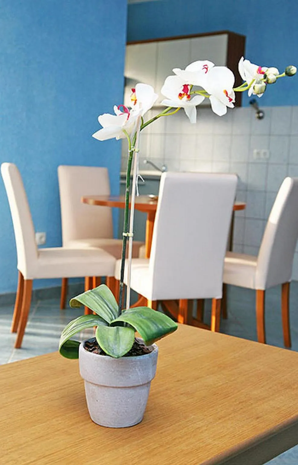 Dining area in Apartments Barisic Hrvatskih Žrtava 404 Seget Vranjica