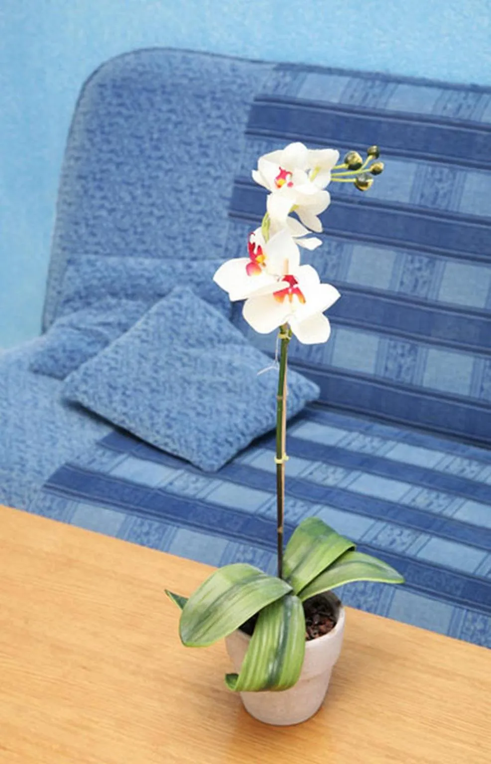 Decorative detail in Apartments Barisic Hrvatskih Žrtava 404 Seget Vranjica