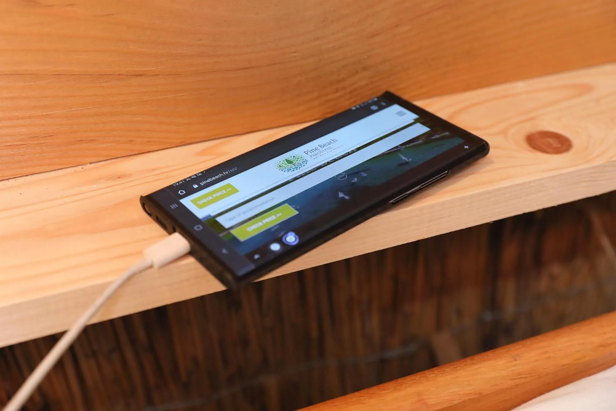 Decorative detail in Pine Beach Pakostane - All Inclusive light