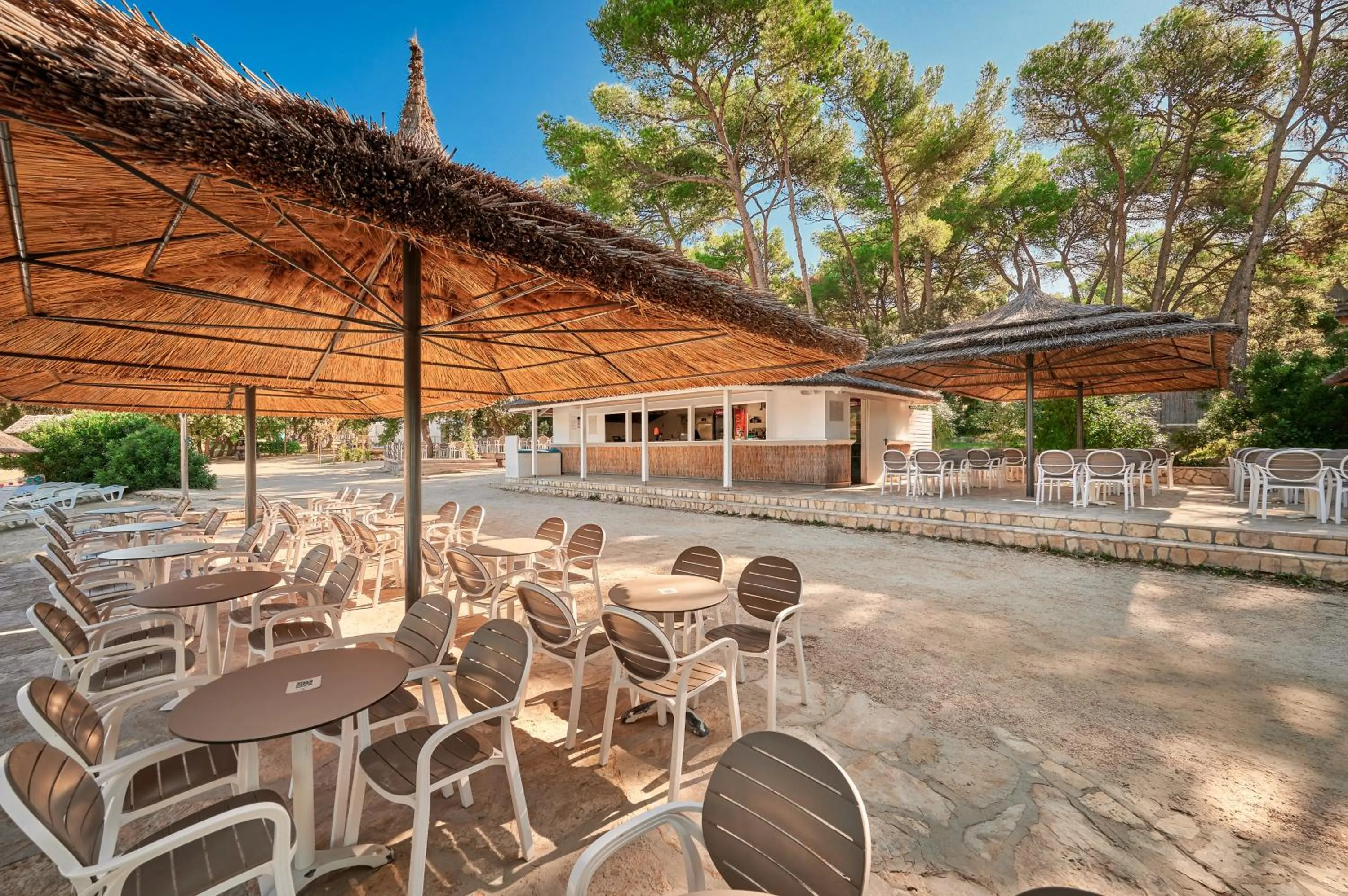 Lounge or bar in Pine Beach Pakostane - All Inclusive light