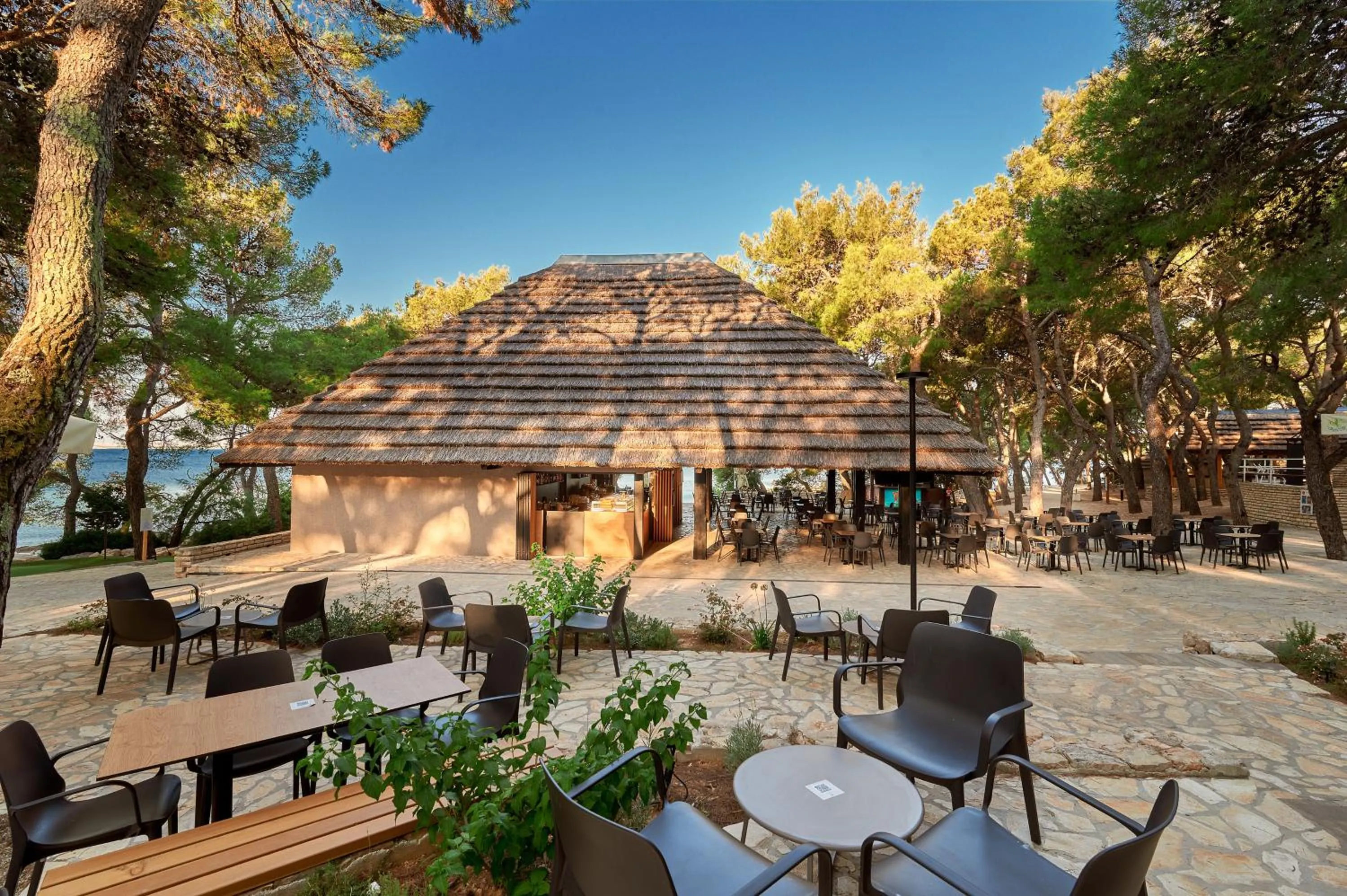 Lounge or bar in Pine Beach Pakostane - All Inclusive light