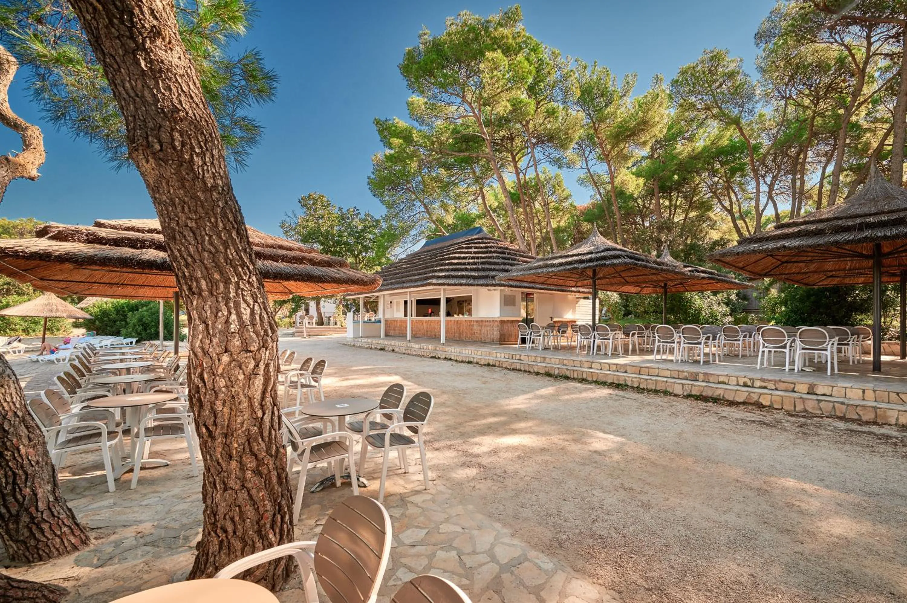 Lounge or bar in Pine Beach Pakostane - All Inclusive light