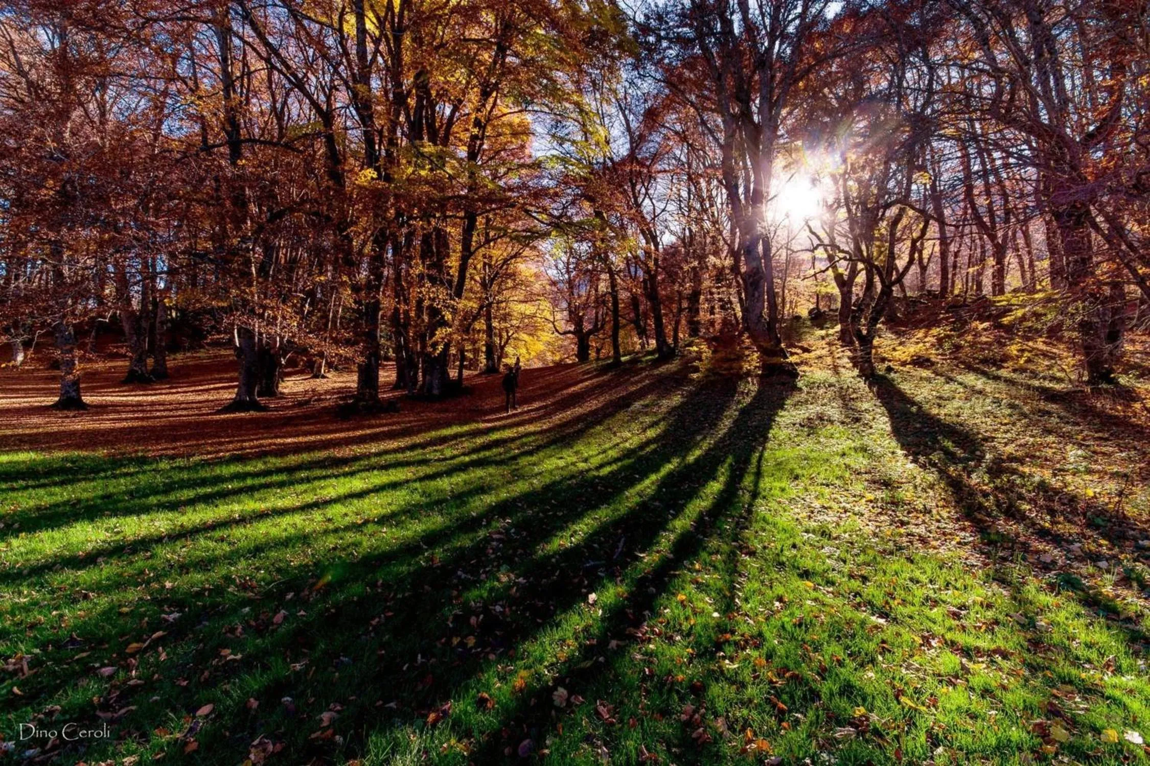 Nearby landmark in HOTEL HOLIDAYS a Barrea - Natura, Relax e Benessere nel Parco d'Abruzzo