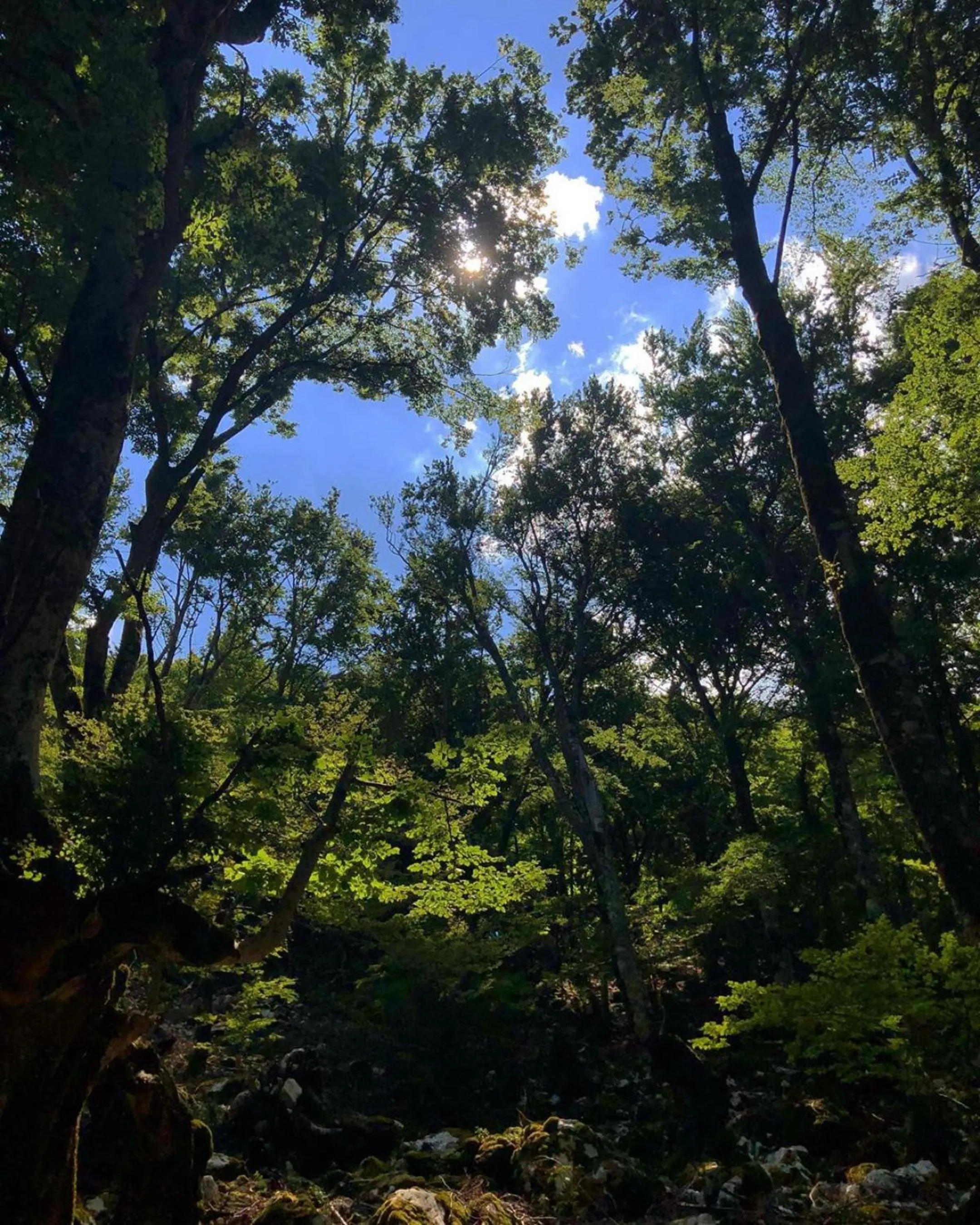 Natural landscape in HOTEL HOLIDAYS a Barrea - Natura, Relax e Benessere nel Parco d'Abruzzo