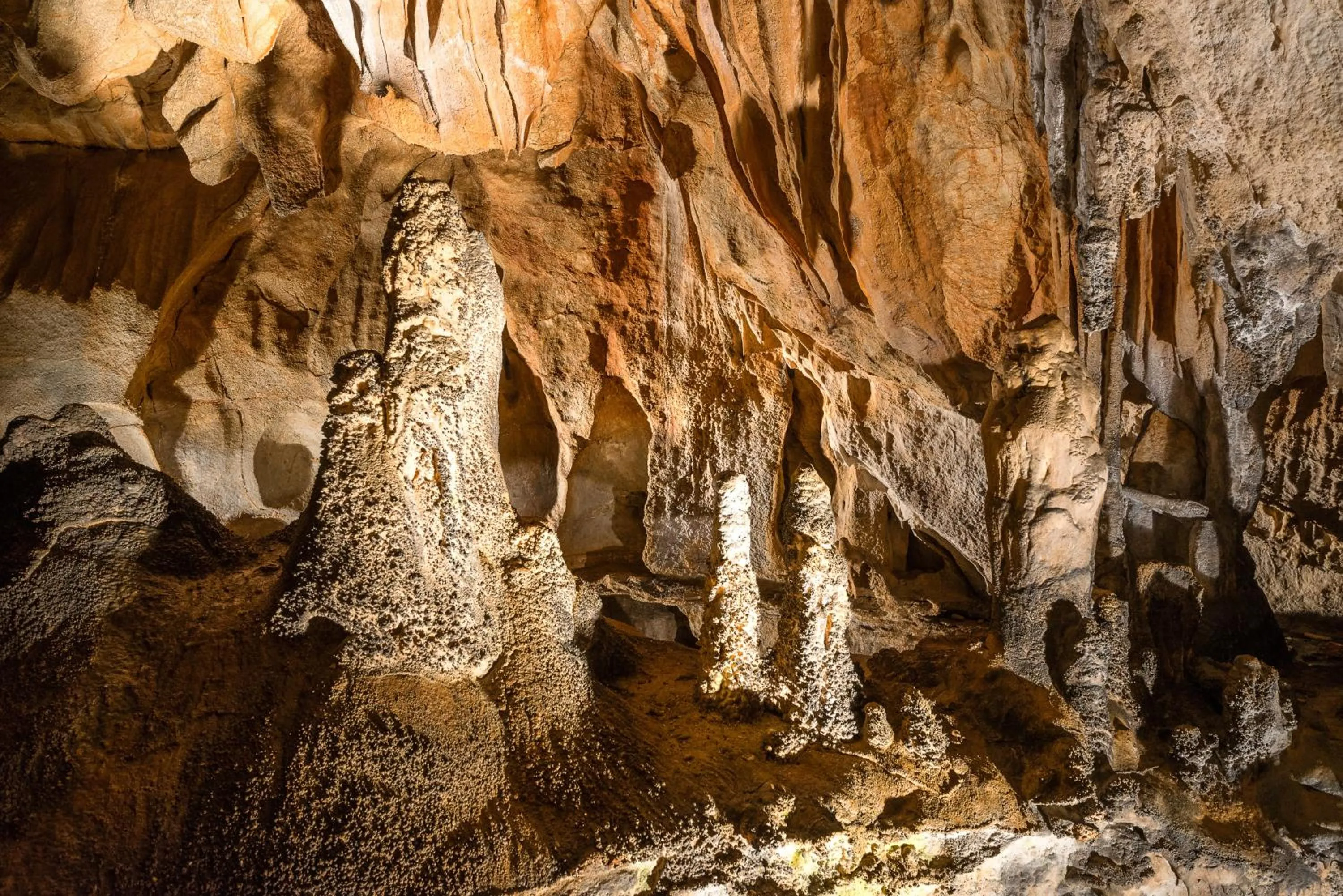 Other in Micanovi Dvori Mobile Home Village Zrmanja