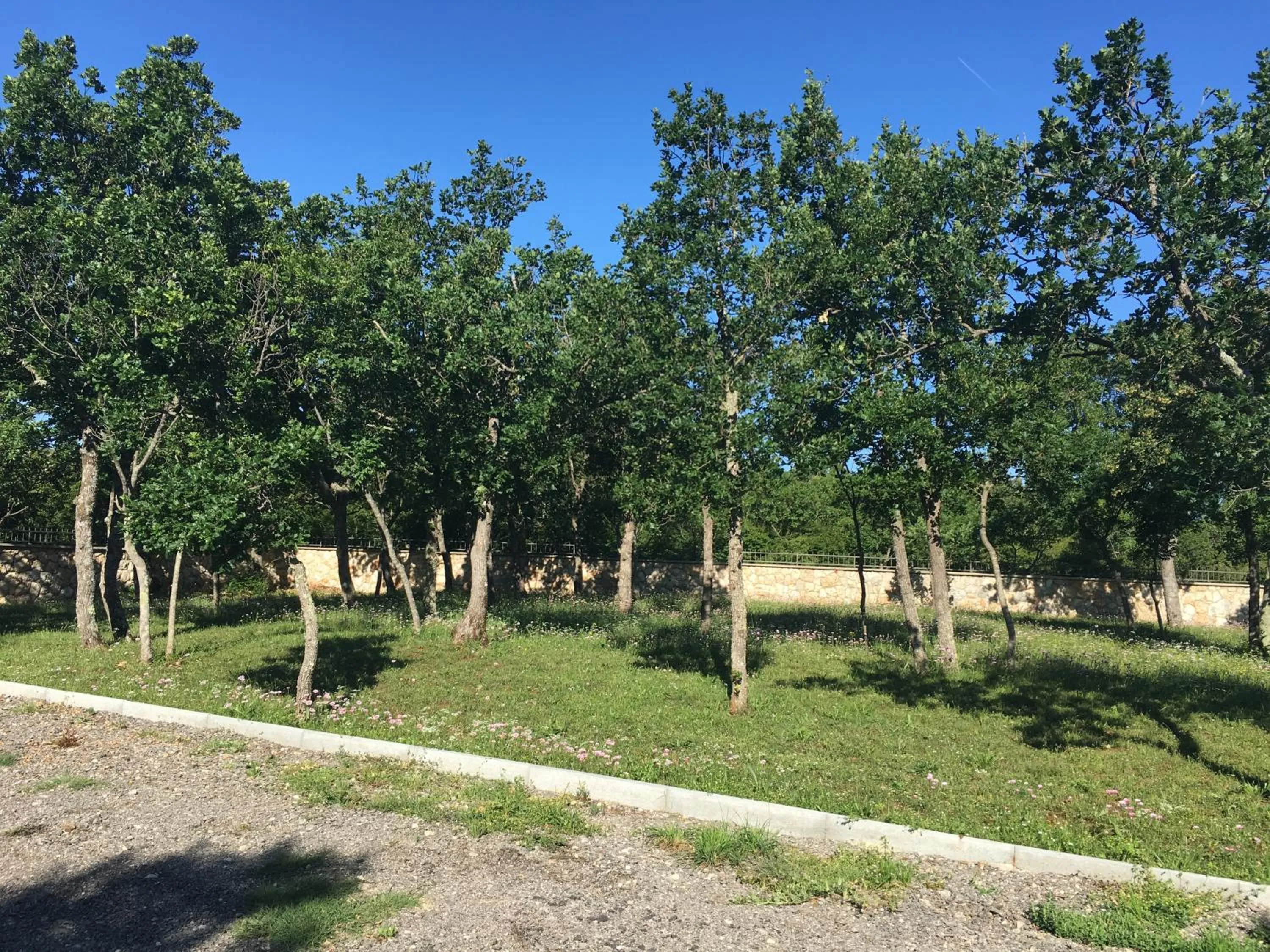Natural landscape in Micanovi Dvori Mobile Home Village Zrmanja