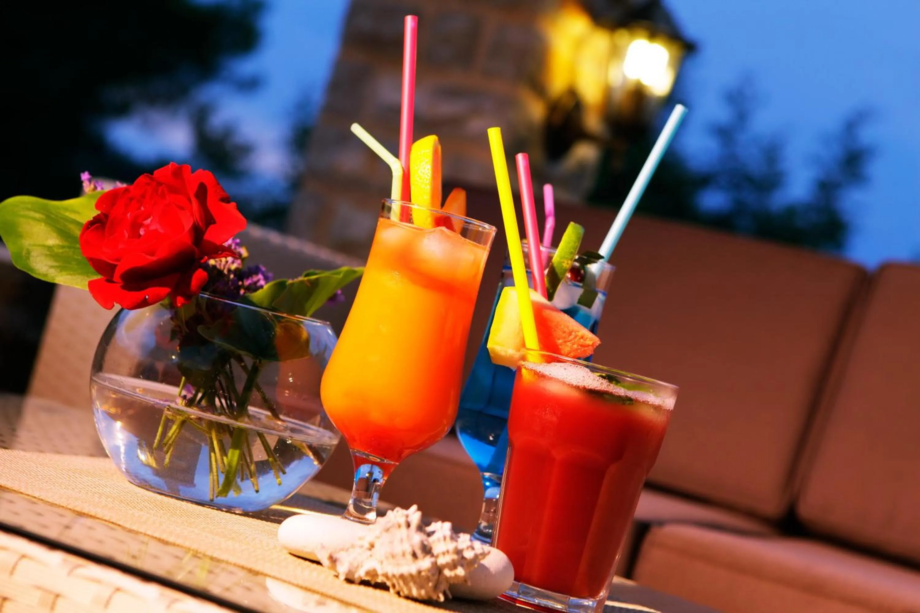 Drinks in Boutique Hotel Villa Telenta