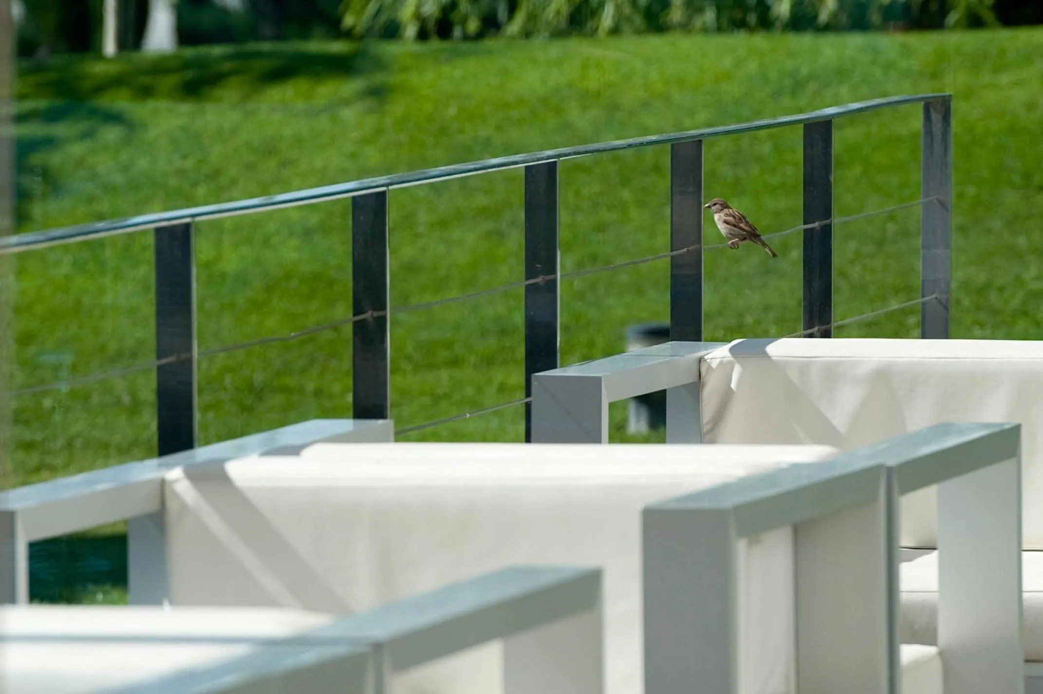 Garden view in Finca Prats Hotel Golf & Spa