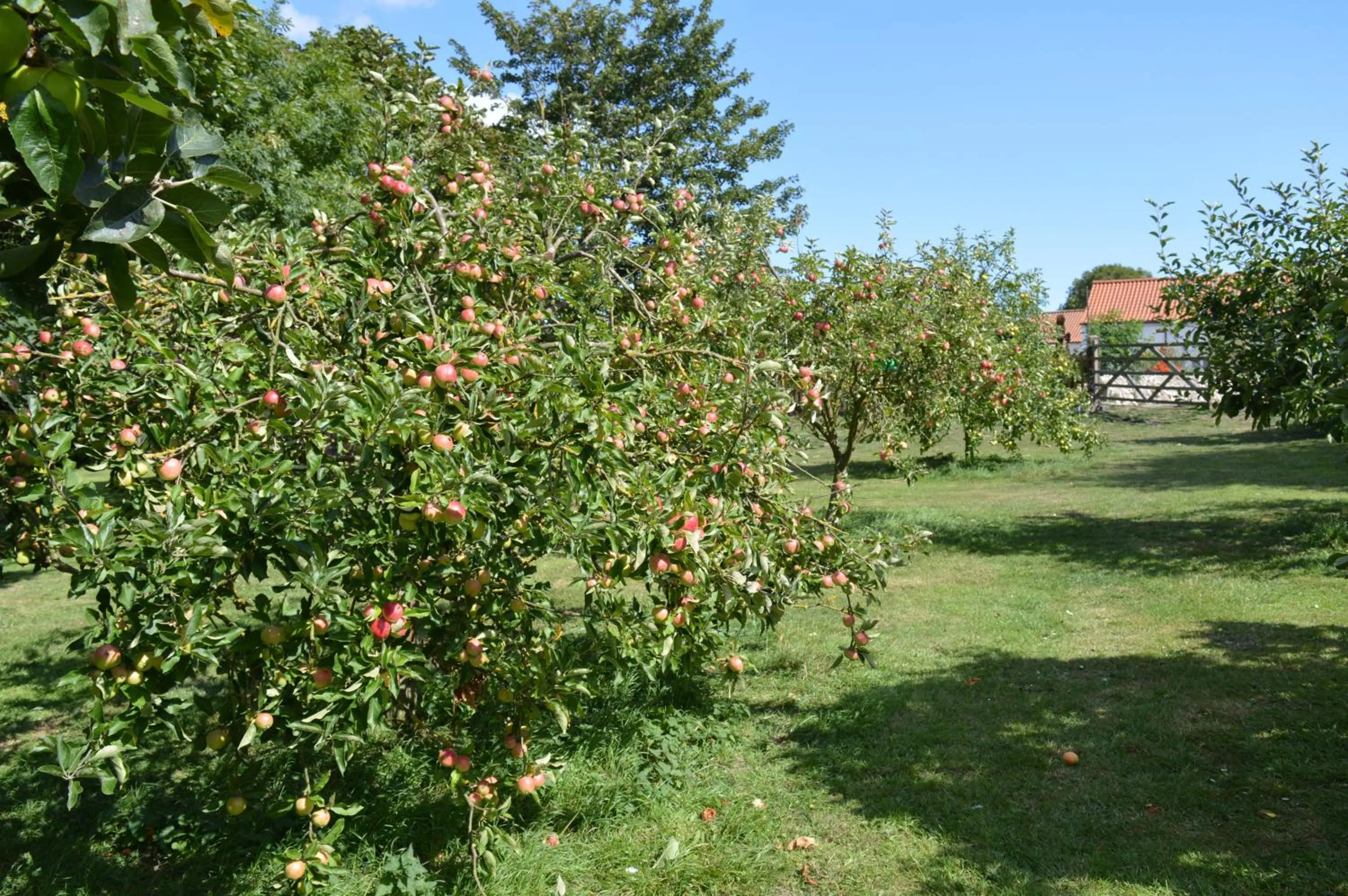 Orchard Lodge & Wolds Restaurant