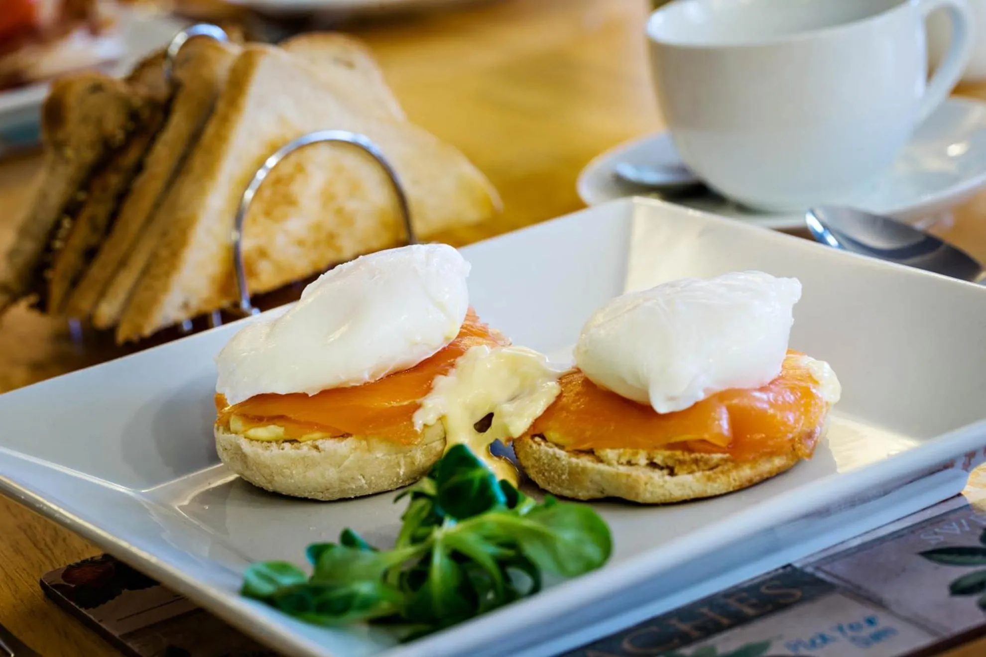 Food close-up in Orchard Lodge & Wolds Restaurant