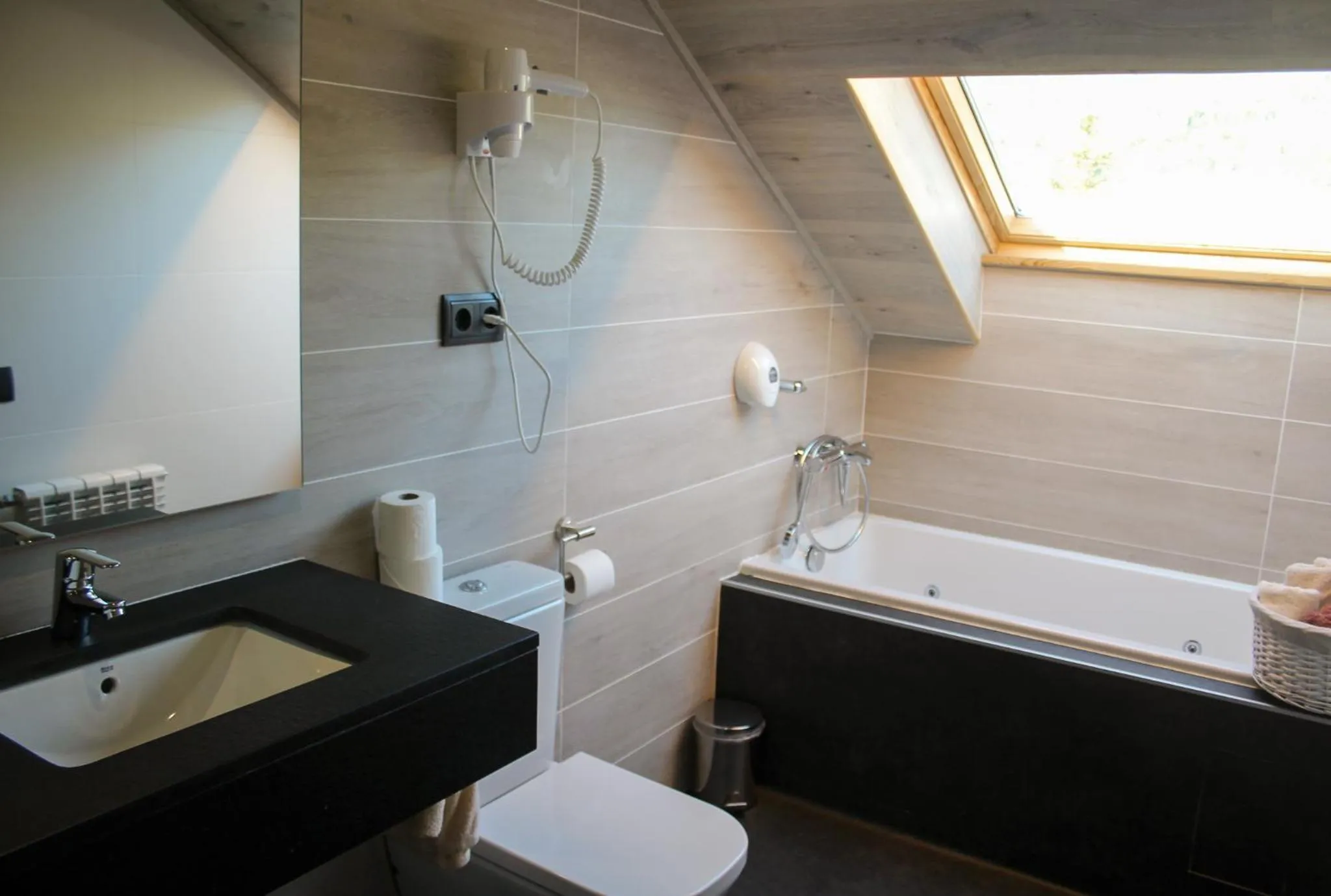 Toilet in Hotel Vall d´Aneu