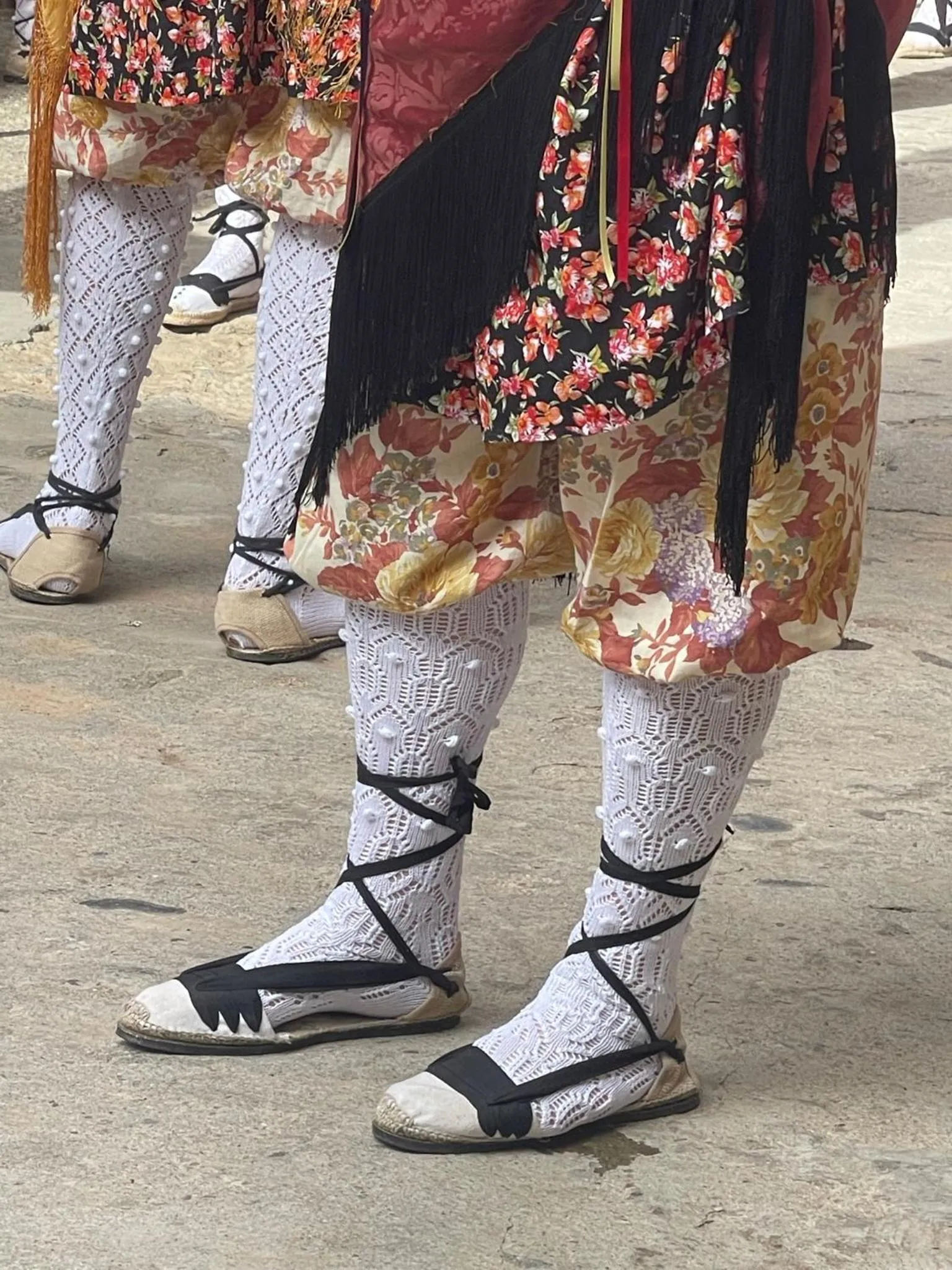 Nearby landmark in Hotel Vall d´Aneu