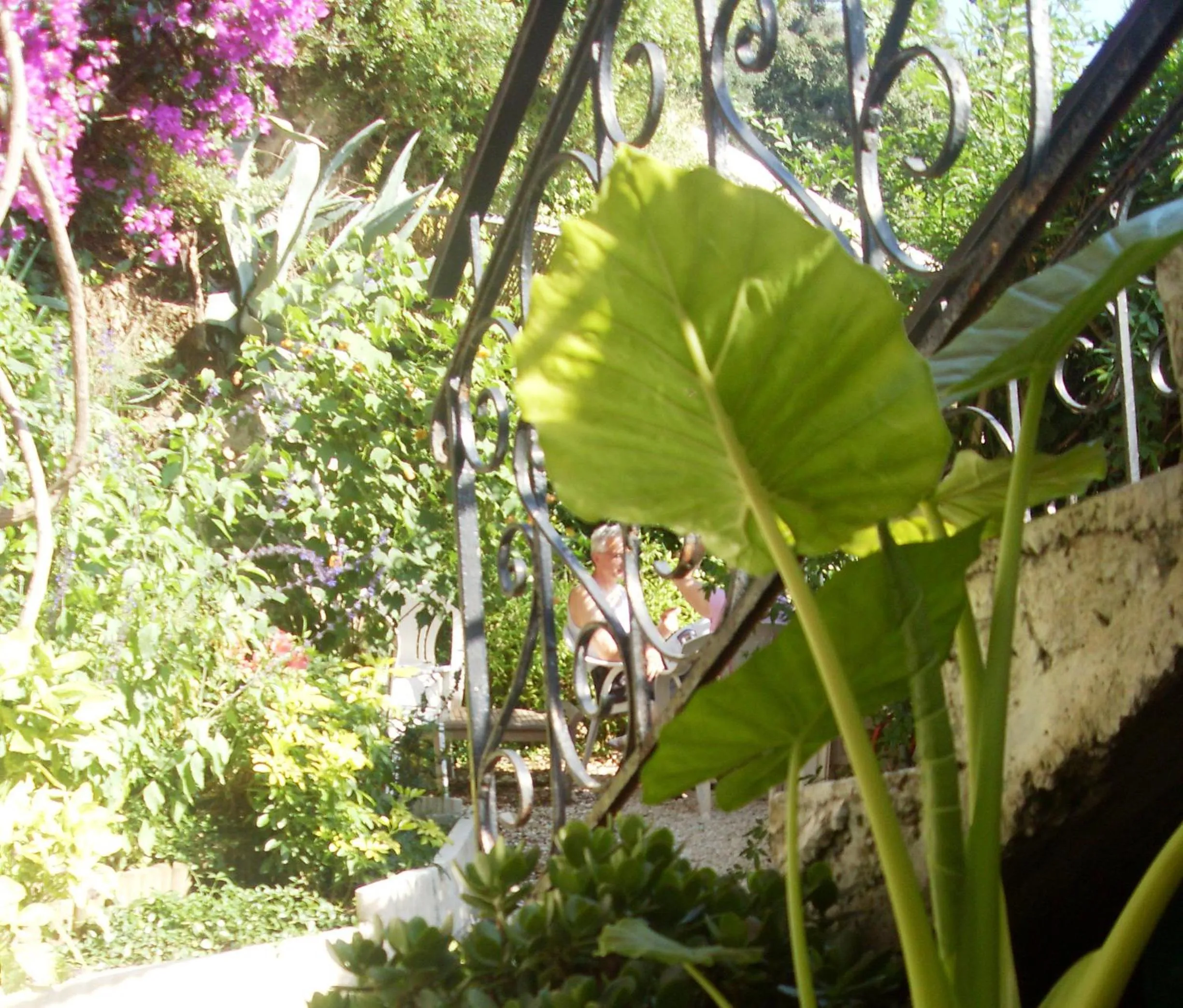 Garden in Le Panoramic Boutique Hôtel
