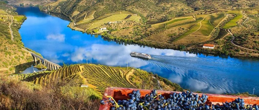 Natural landscape in Nova Cruz Hotel