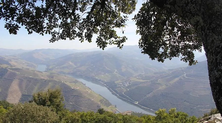 Natural landscape in Nova Cruz Hotel