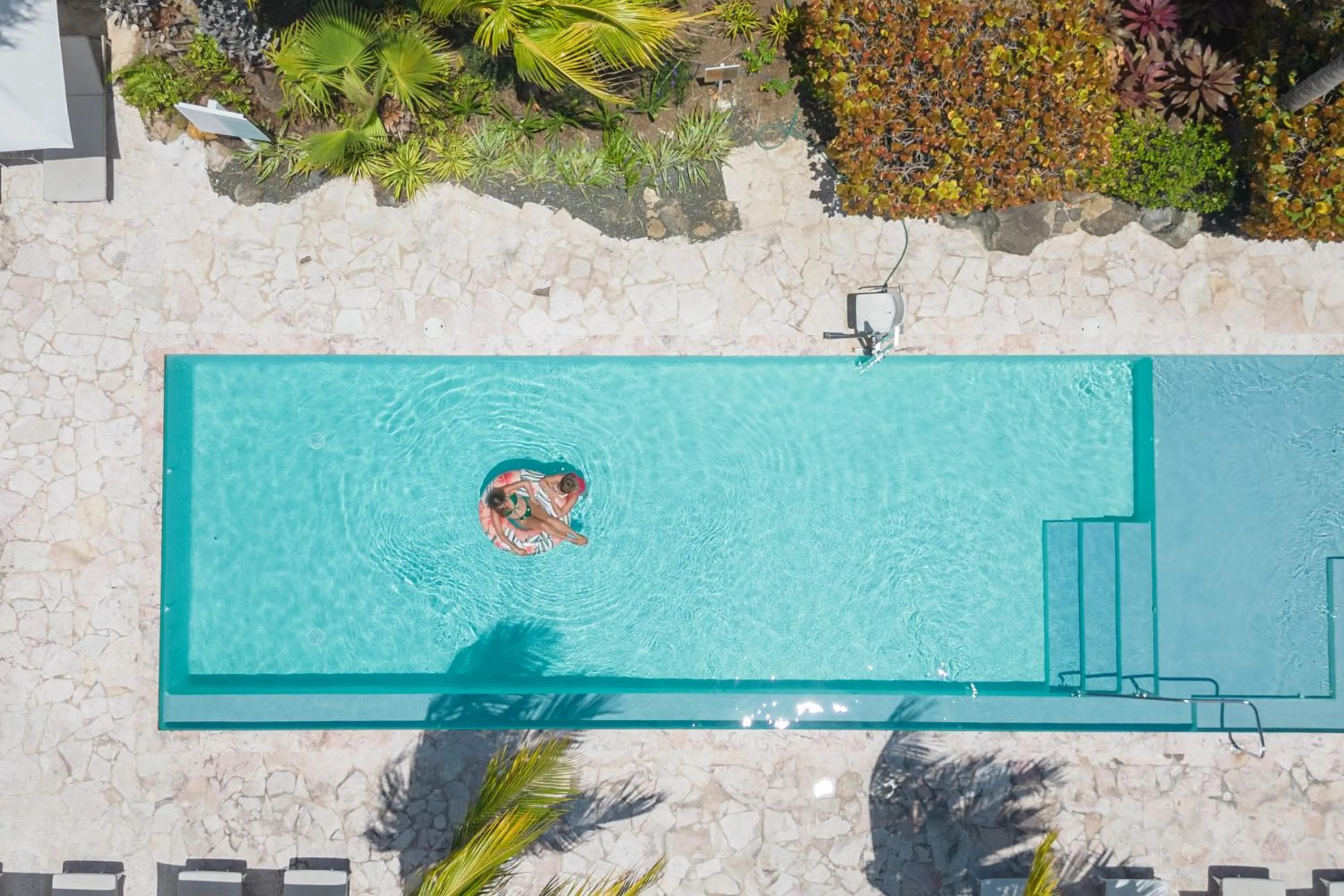 Swimming pool in Dolphin Suites & Wellness Curacao