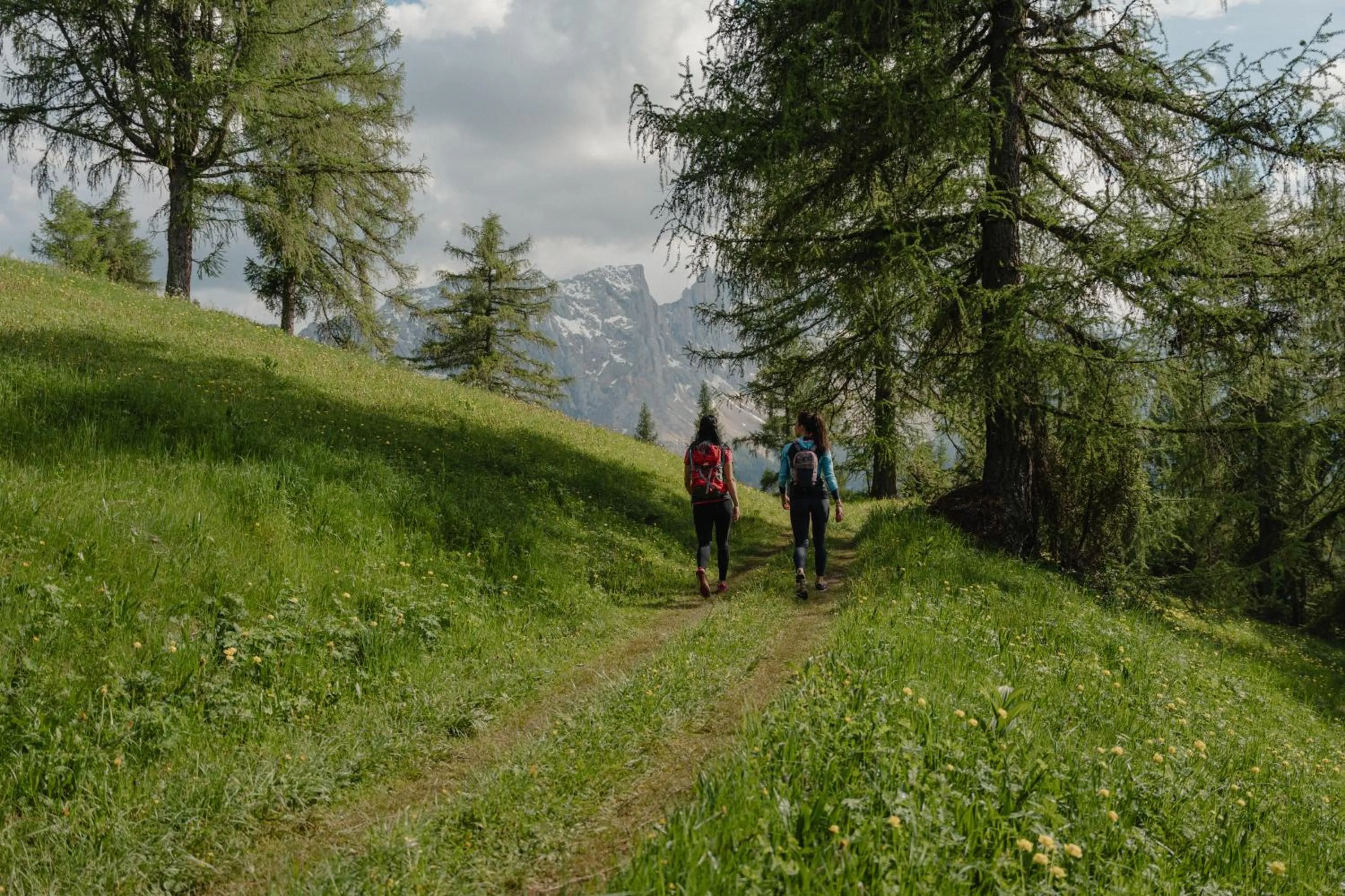 Hiking in Hotel Alpenrose