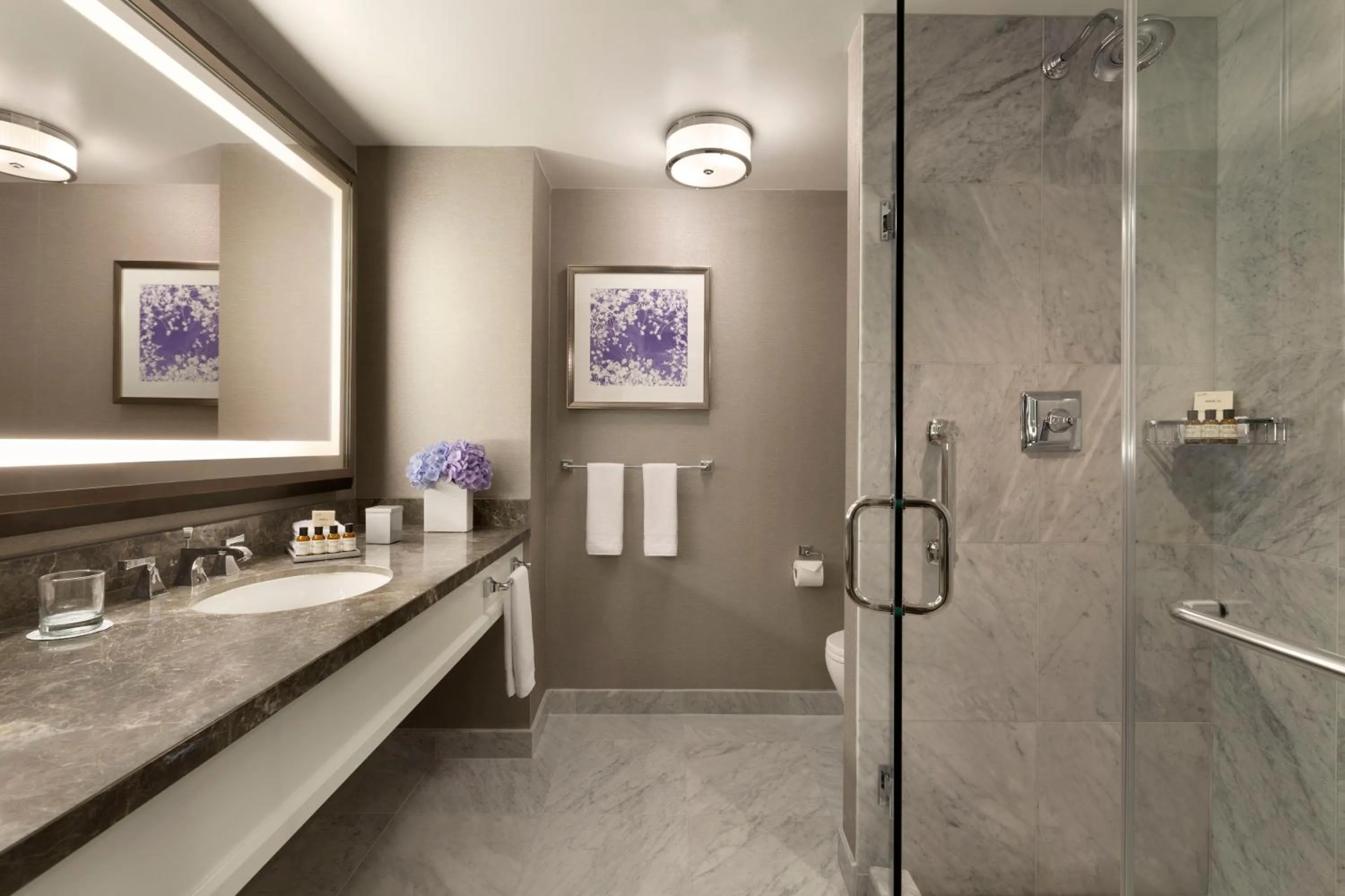 Shower in Fairmont Olympic Hotel