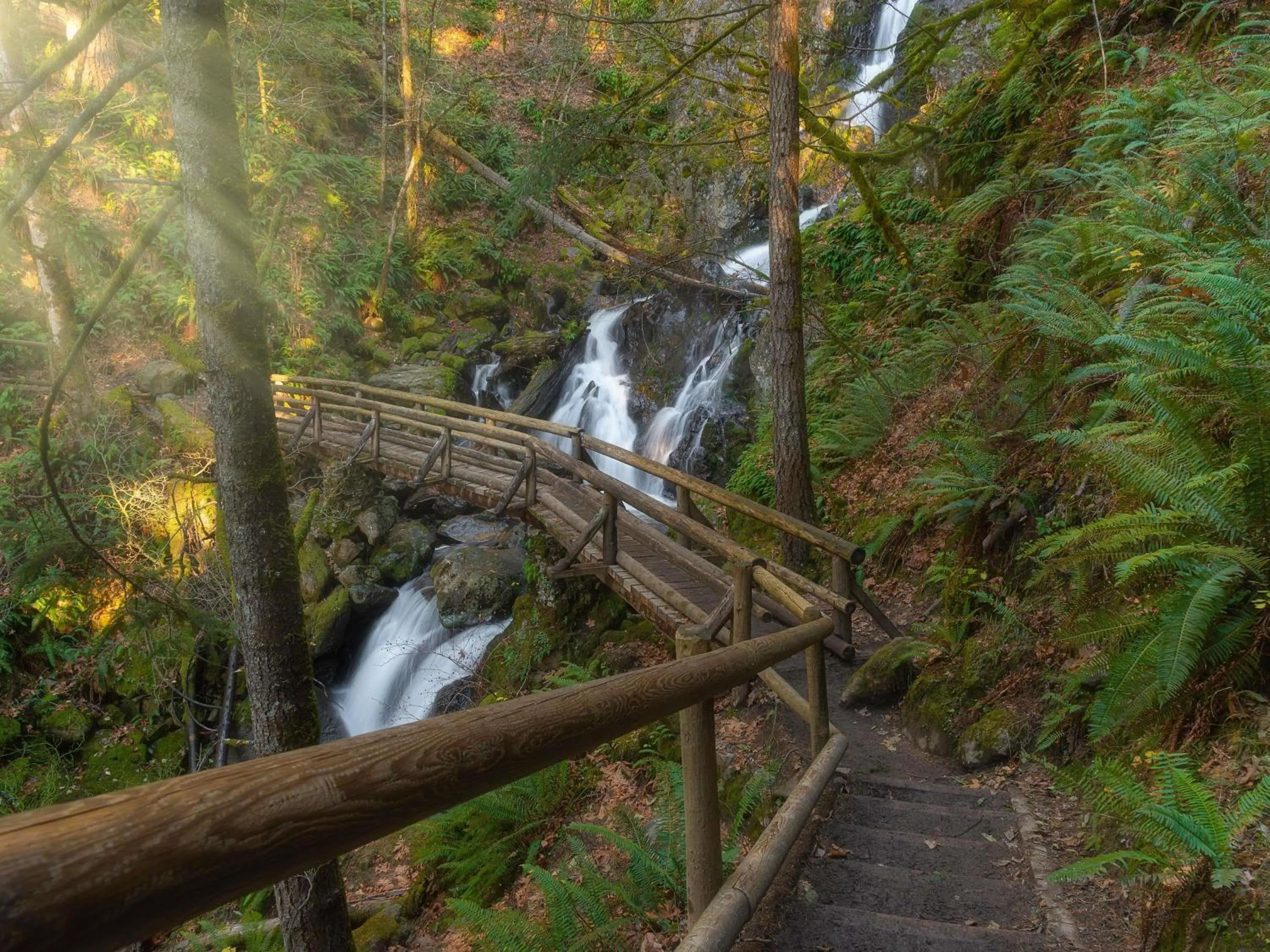 Pool view in Fairmont Olympic Hotel