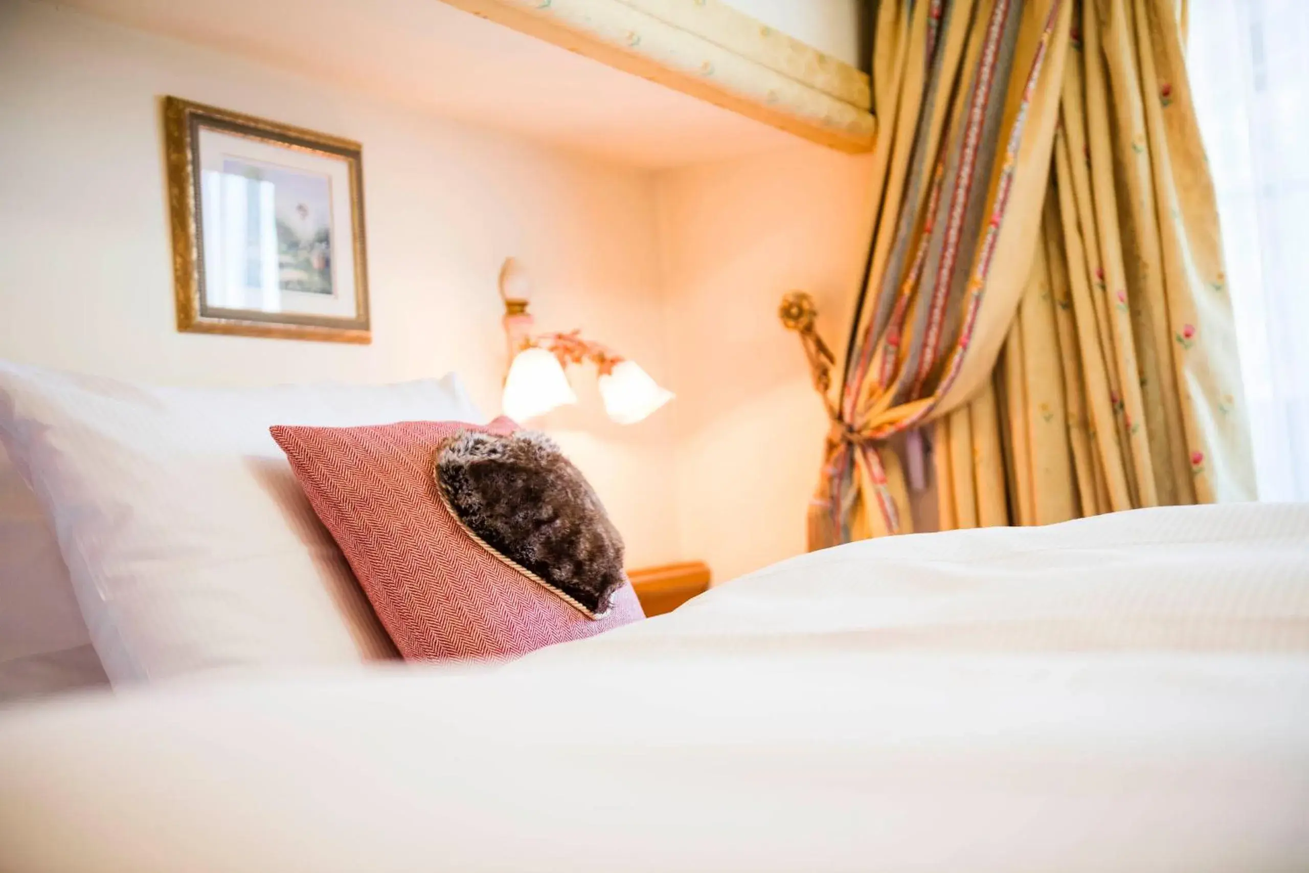 Deluxe Double Room with Balcony in eva,GARDEN Deluxe Double Room with Balcony in eva,GARDEN