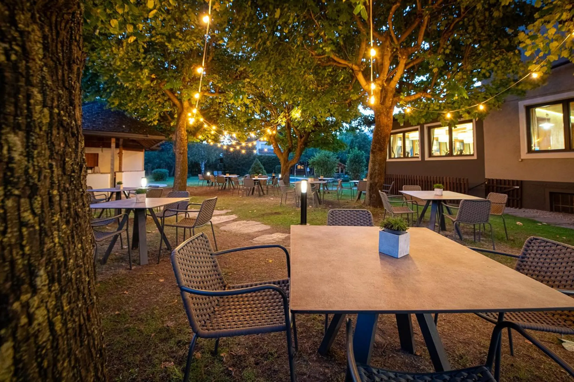 Restaurant/places to eat in Hotel ANDER