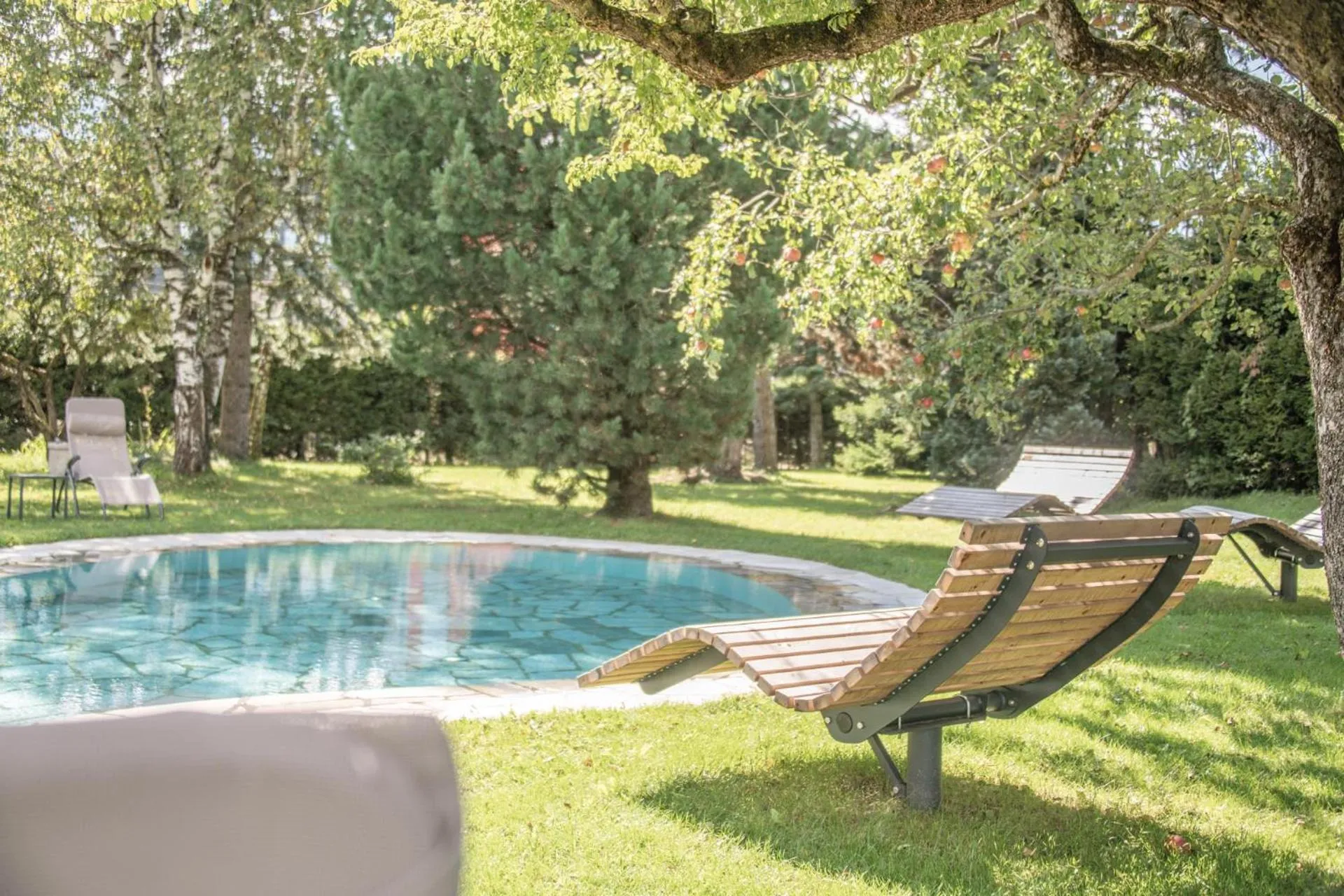 Restaurant/places to eat in Hotel ANDER