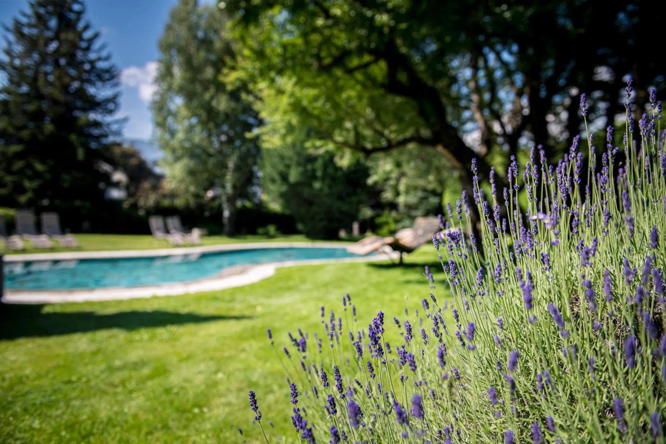 Spring in Hotel ANDER