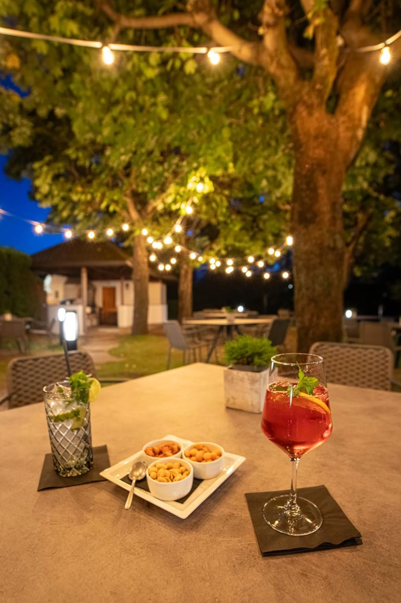 Restaurant/places to eat in Hotel ANDER