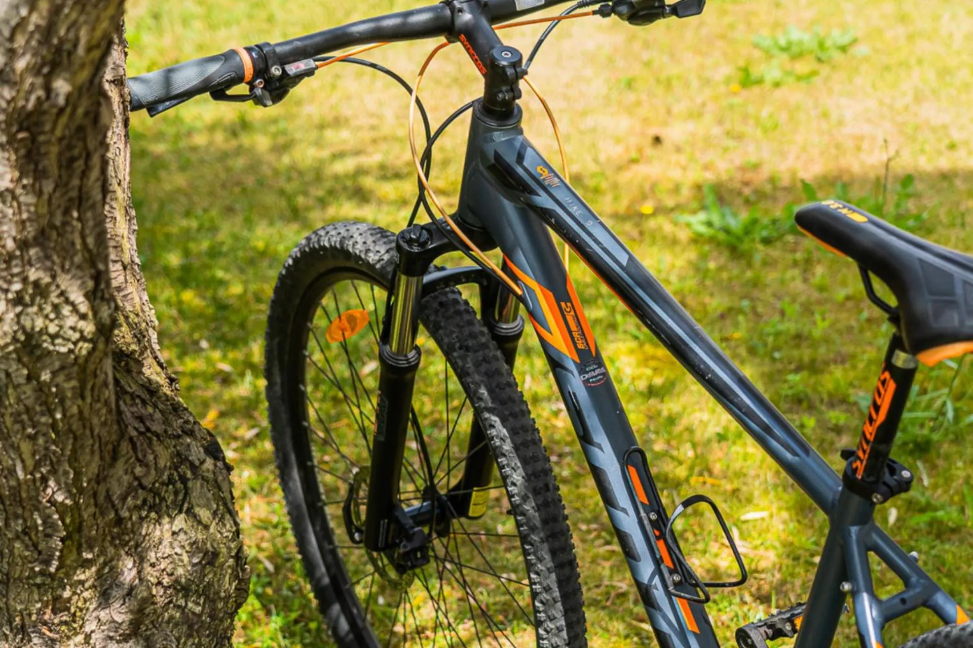 Cycling in Felix Hotels - Hotel Residence Porto San Paolo