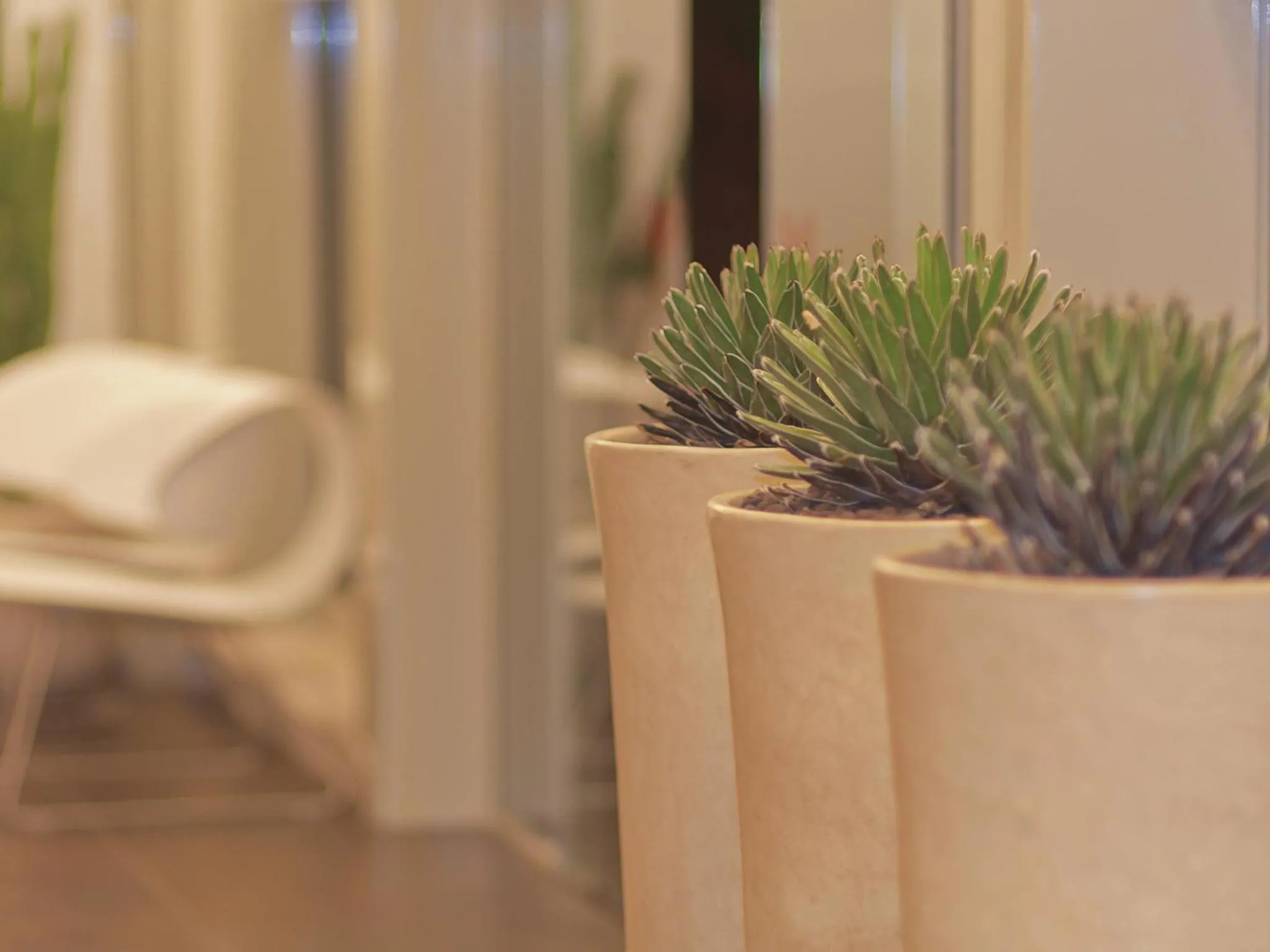 Decorative detail in Hotel Cluentum