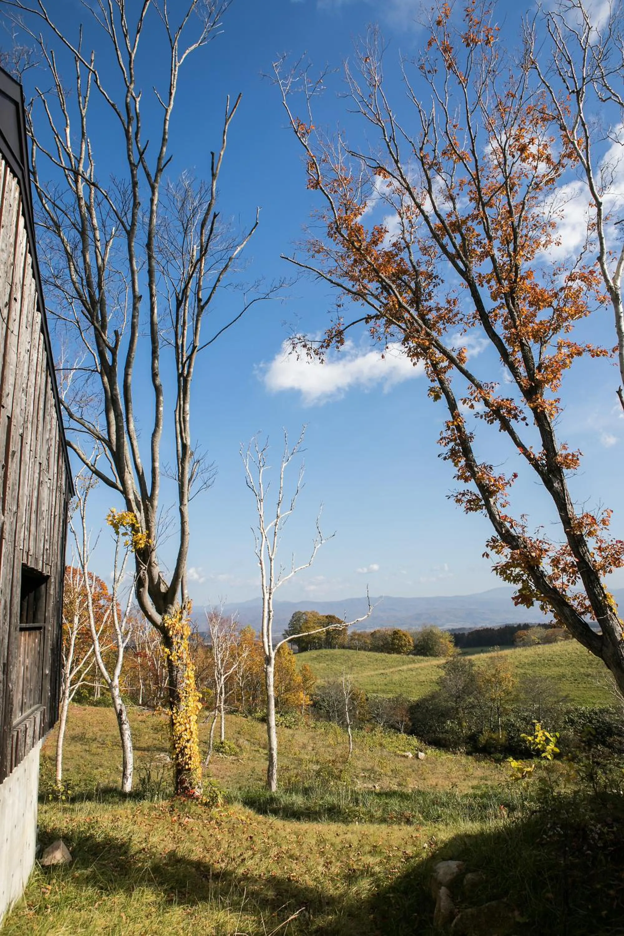 View (from property/room) in Zaborin