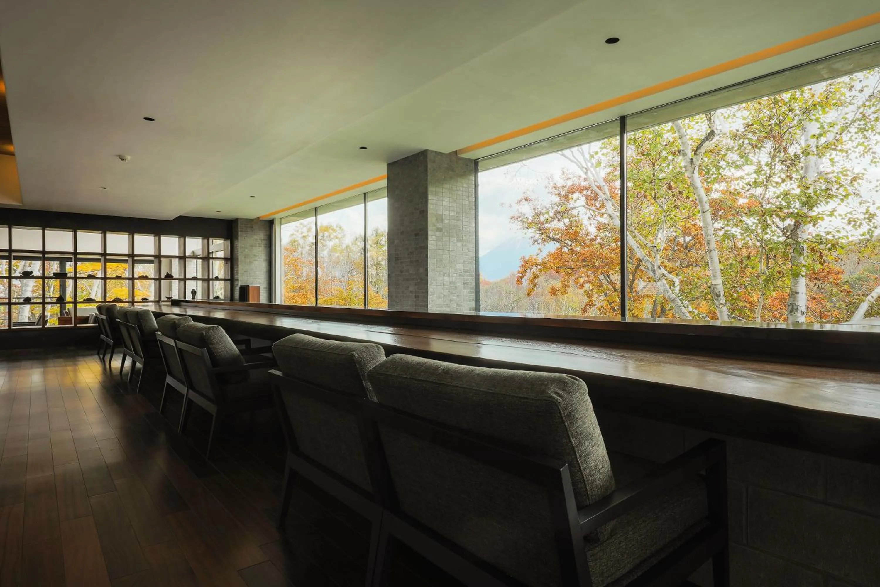 Lounge or bar in Zaborin