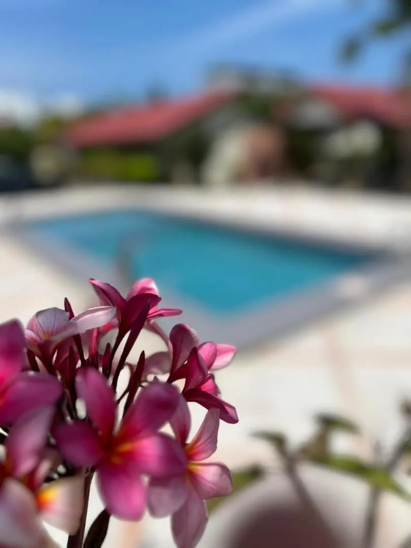 Pool view in Dhania Cenang Beach Motel