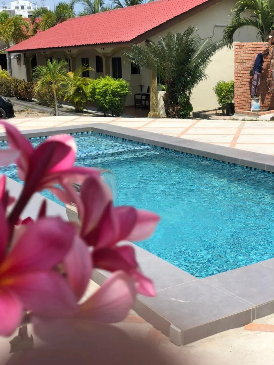 Pool view in Dhania Cenang Beach Motel