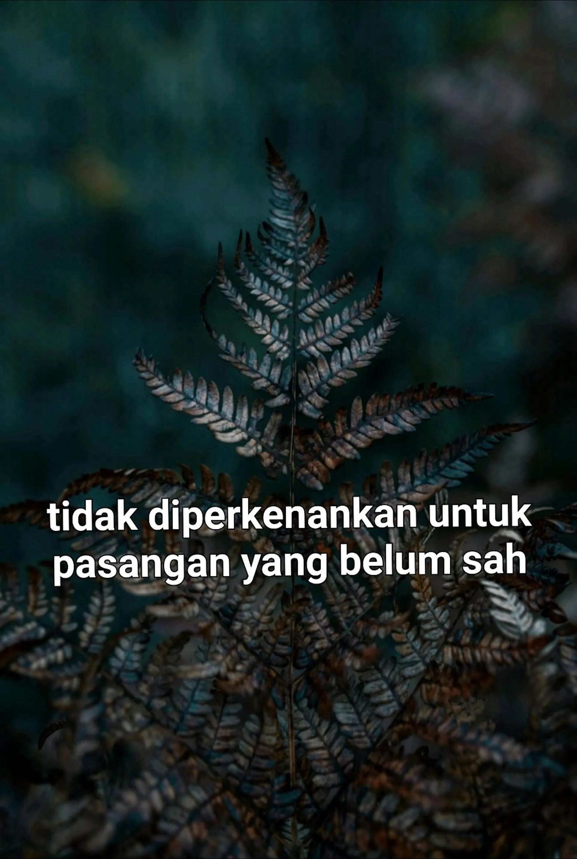 Omah Konco Yogyakarta