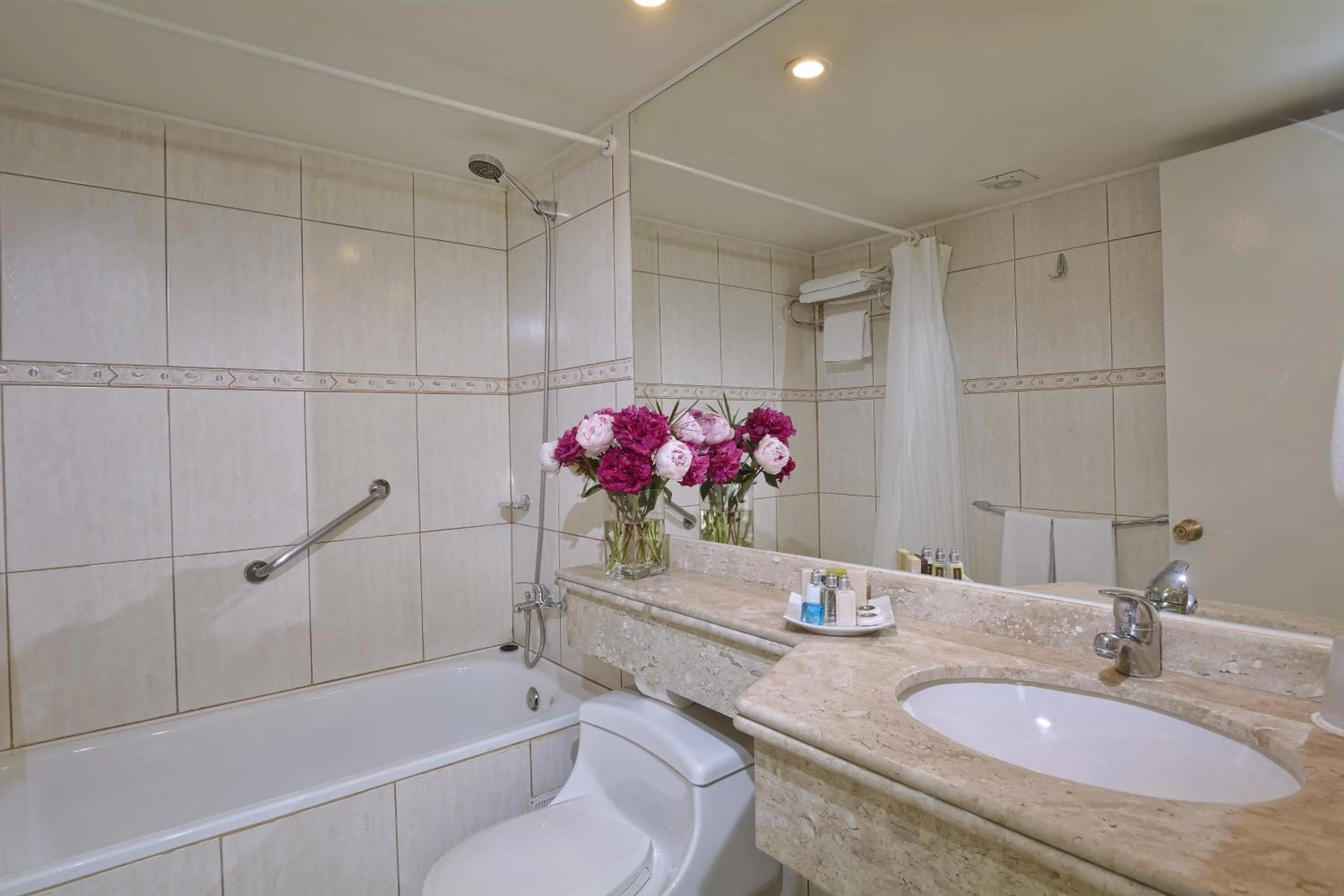 Bathroom in Hotel Eurotel El Bosque