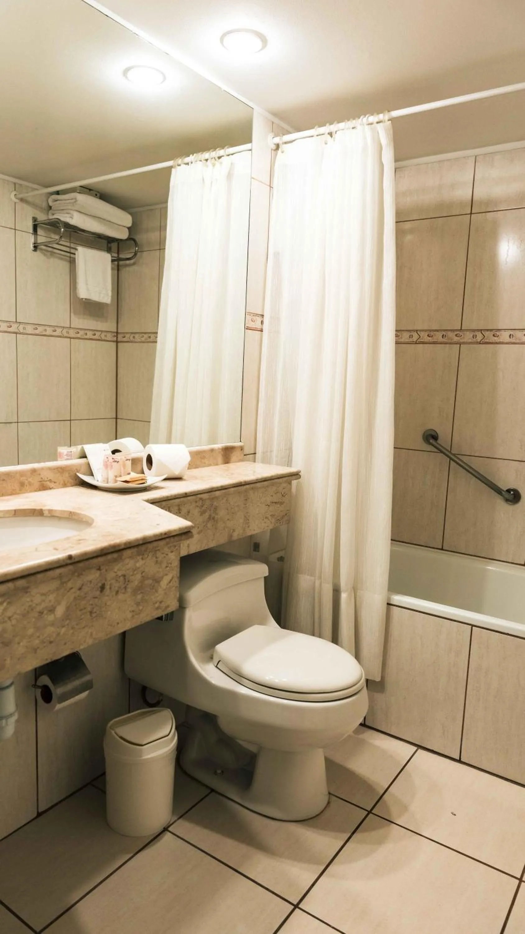 Toilet in Hotel Eurotel El Bosque