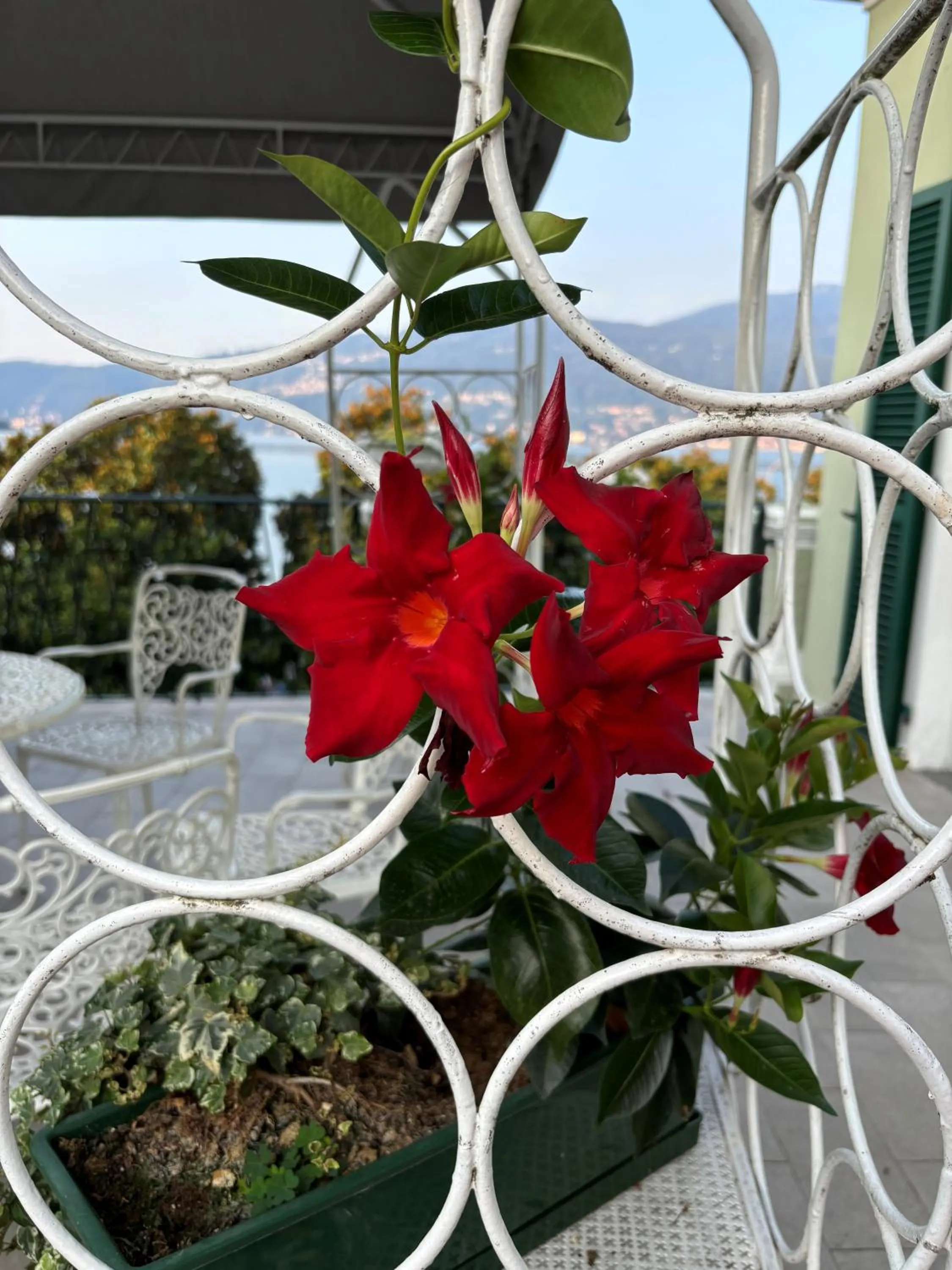 Bird's eye view in Albergo Pesce D'oro