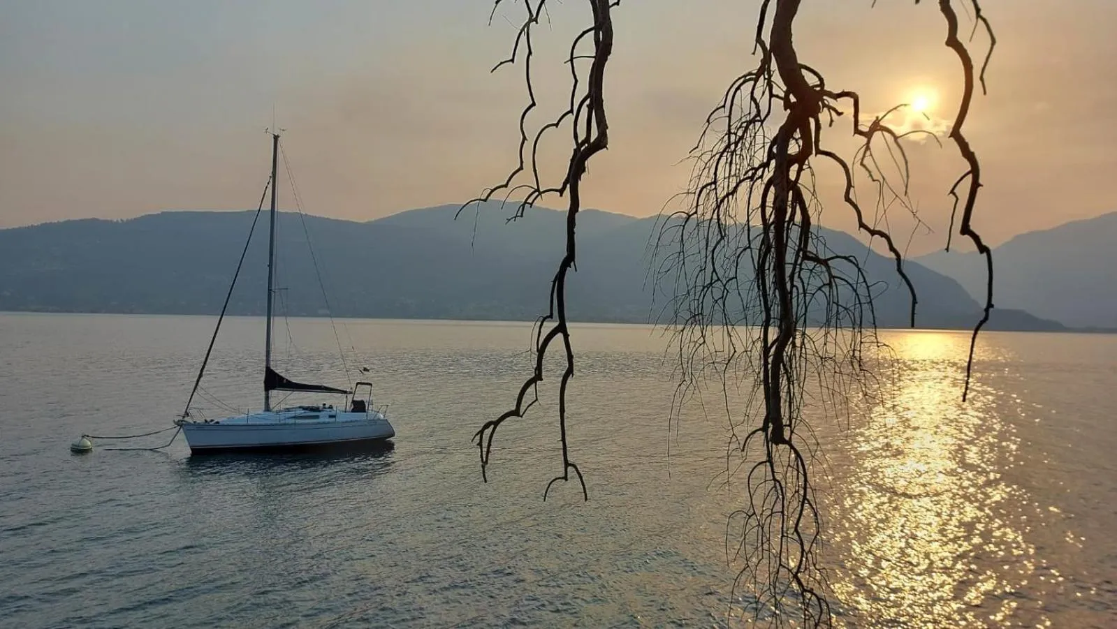 Natural landscape in Albergo Pesce D'oro