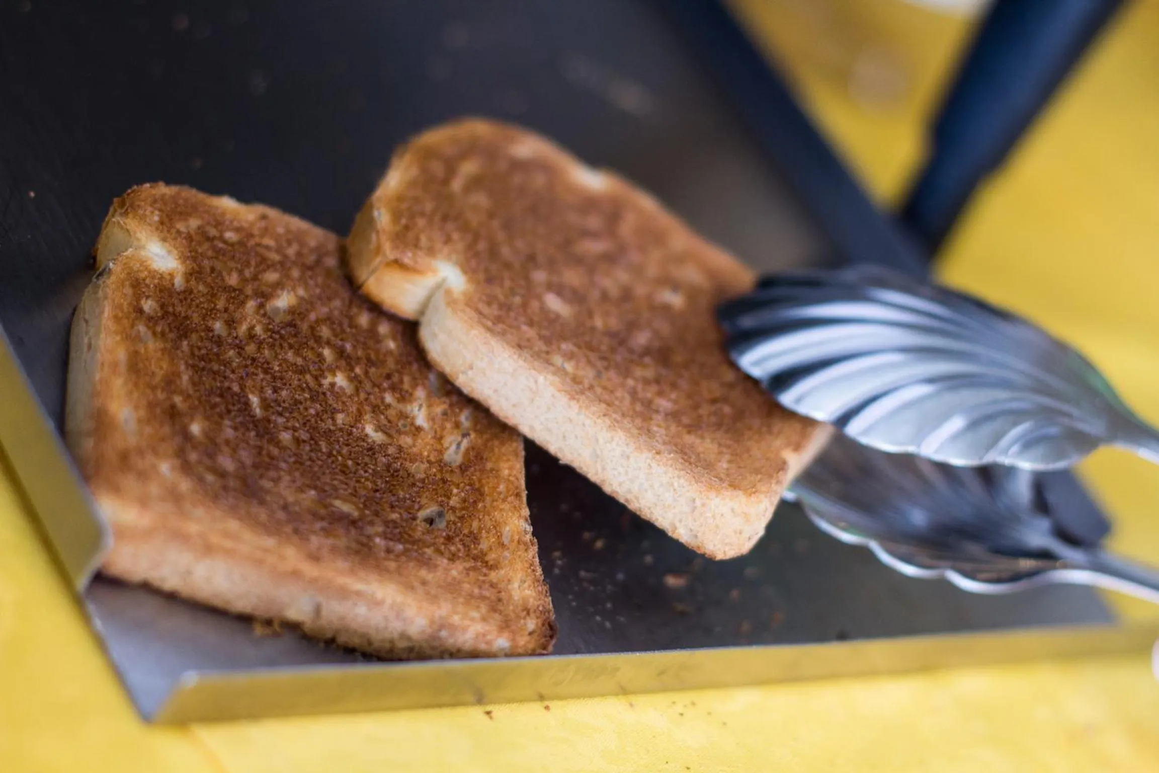 Food and drinks in Hotel Elvia