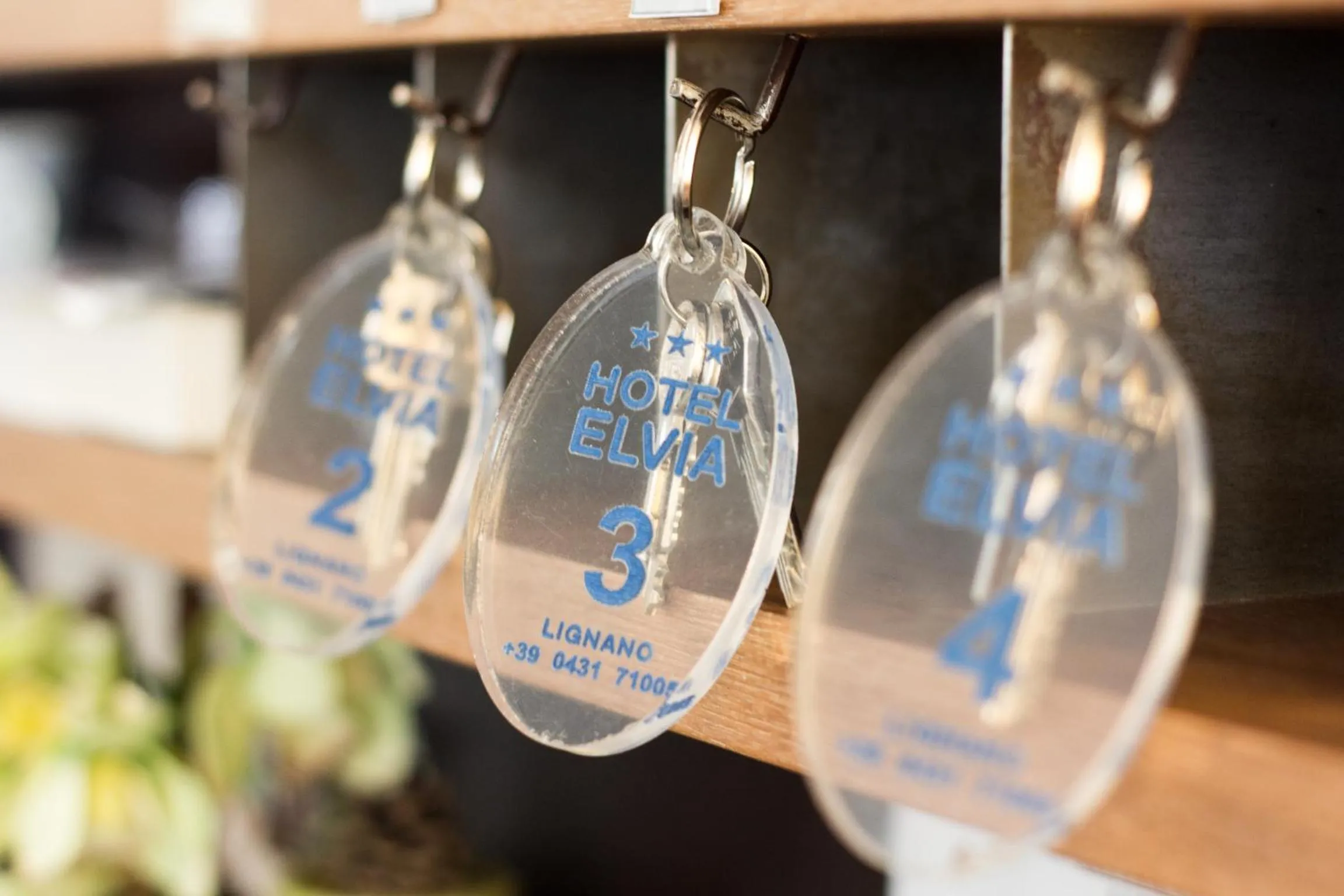 Lobby or reception in Hotel Elvia