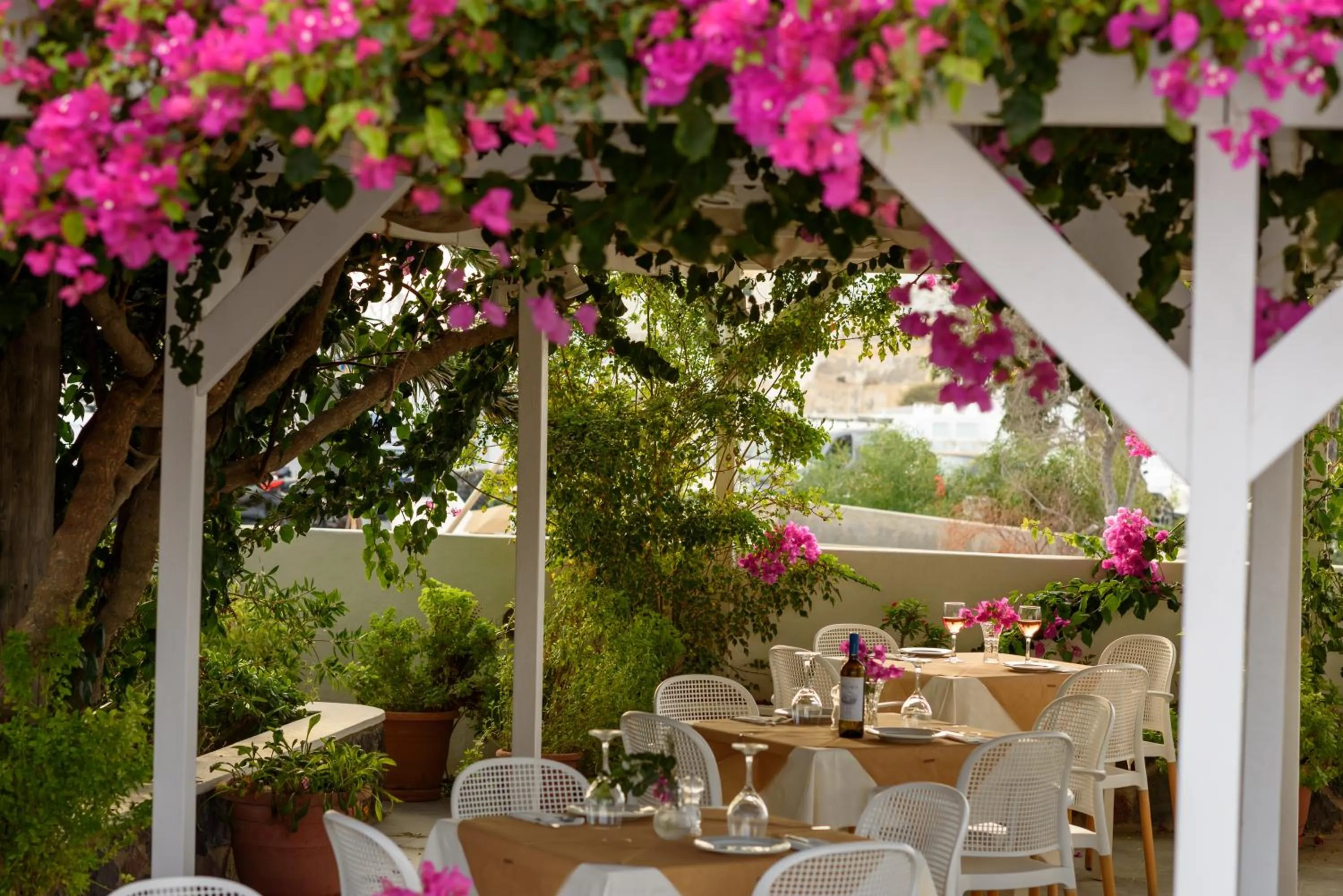 Restaurant/places to eat in Anemomilos