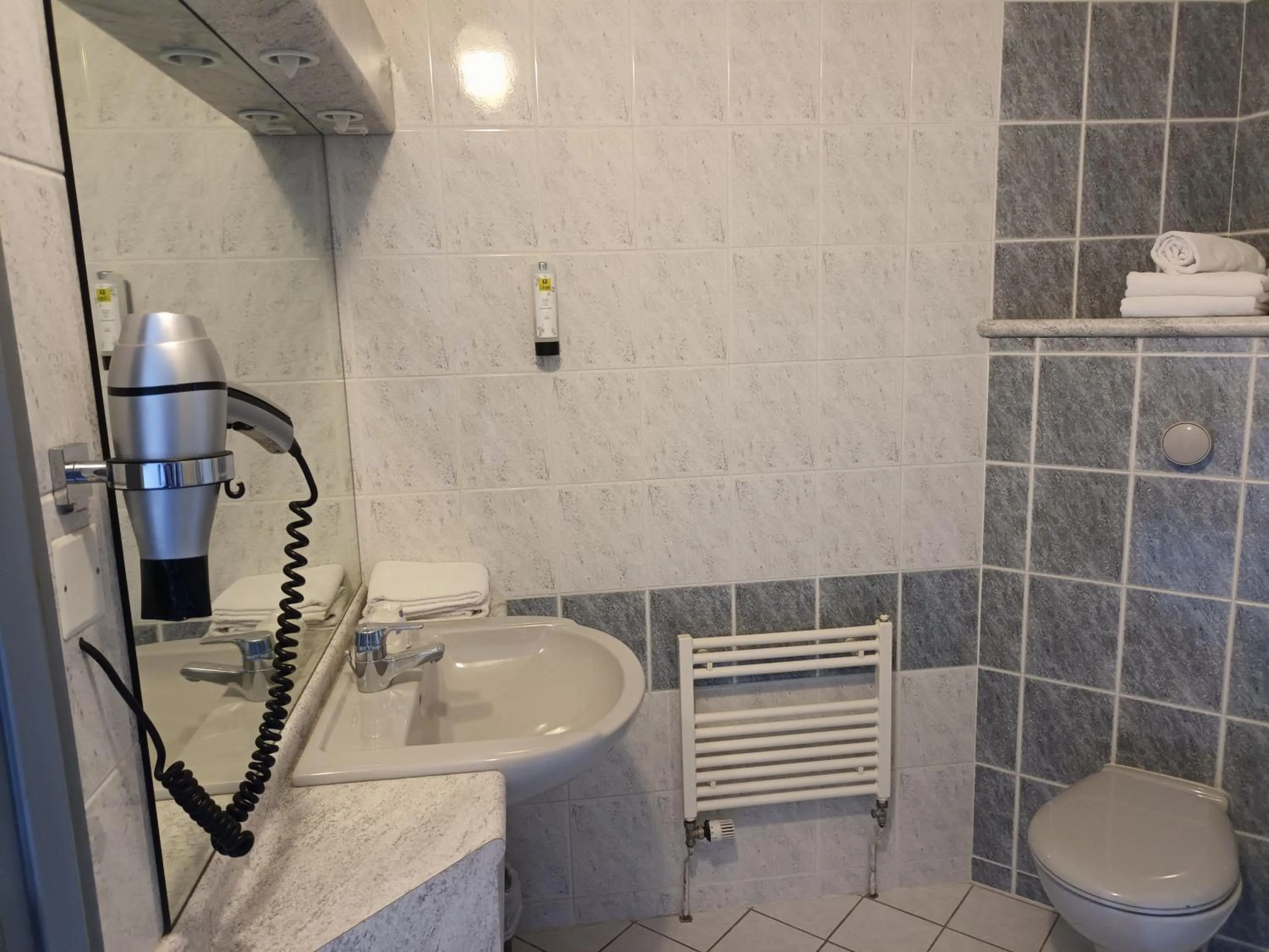 Bathroom in Hôtel-Restaurant Logis l'Aubrac Laguiole