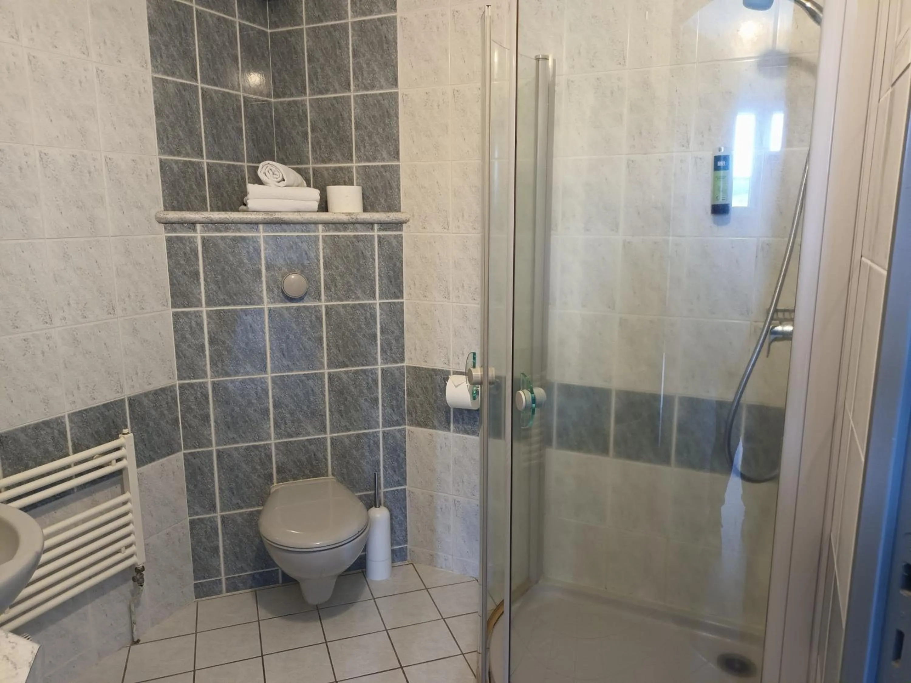 Bathroom in Hôtel-Restaurant Logis l'Aubrac Laguiole