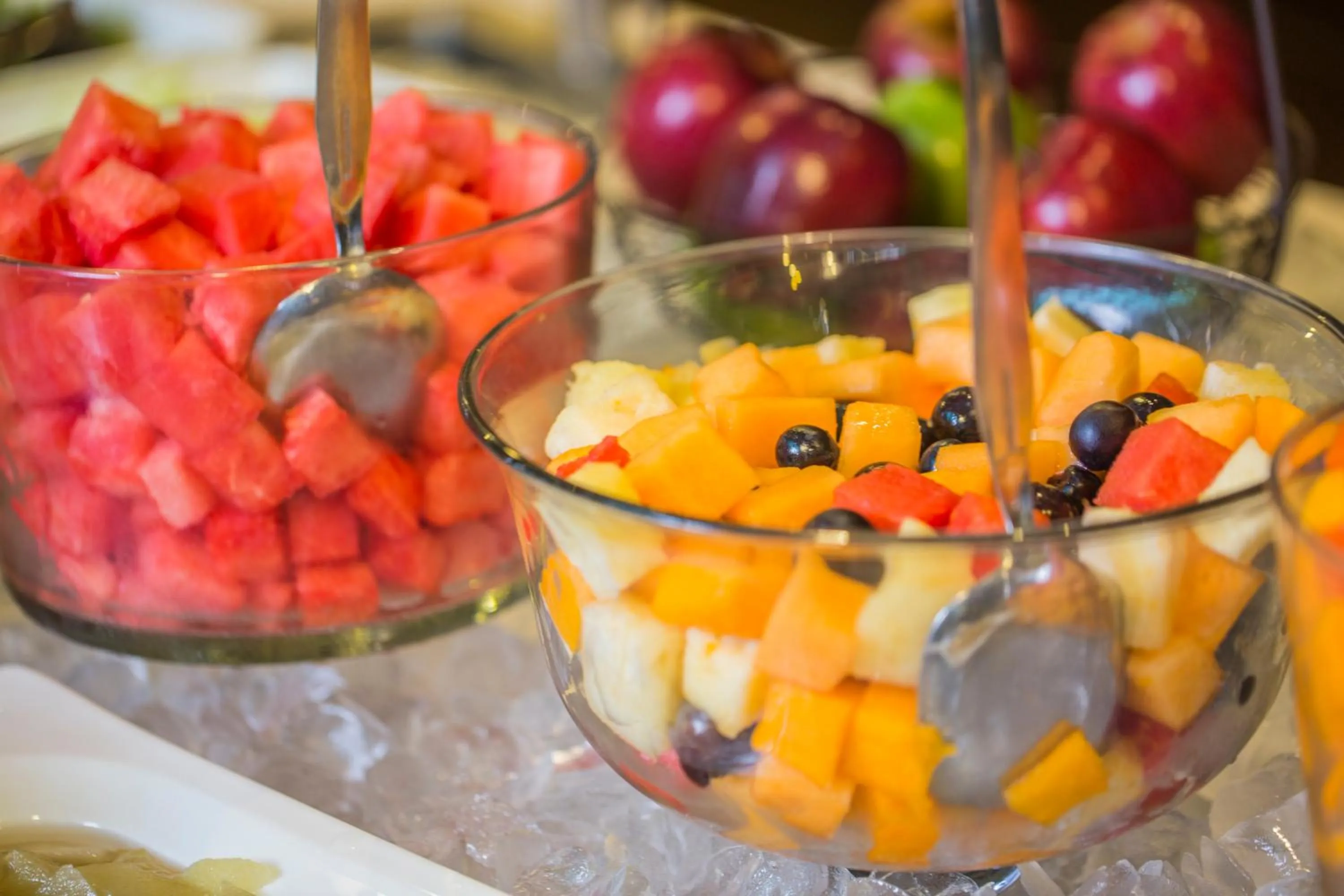 Restaurant/places to eat in Delfines Hotel & Convention Center