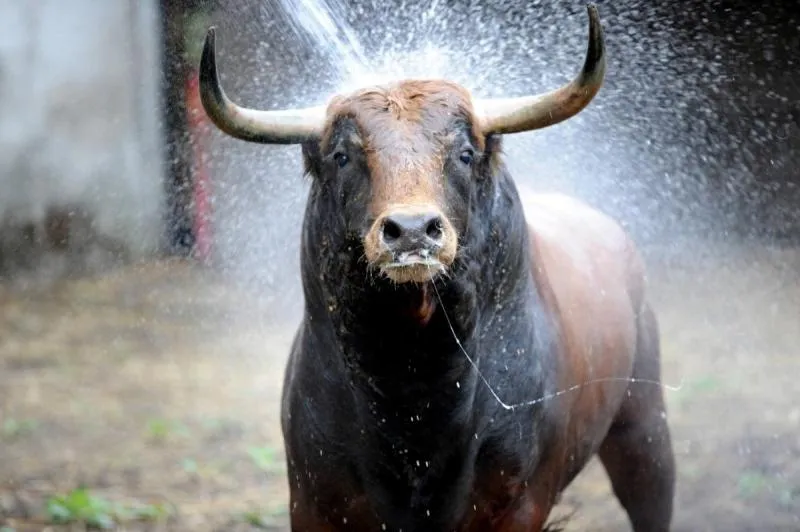 Day in Chez l'ahumat