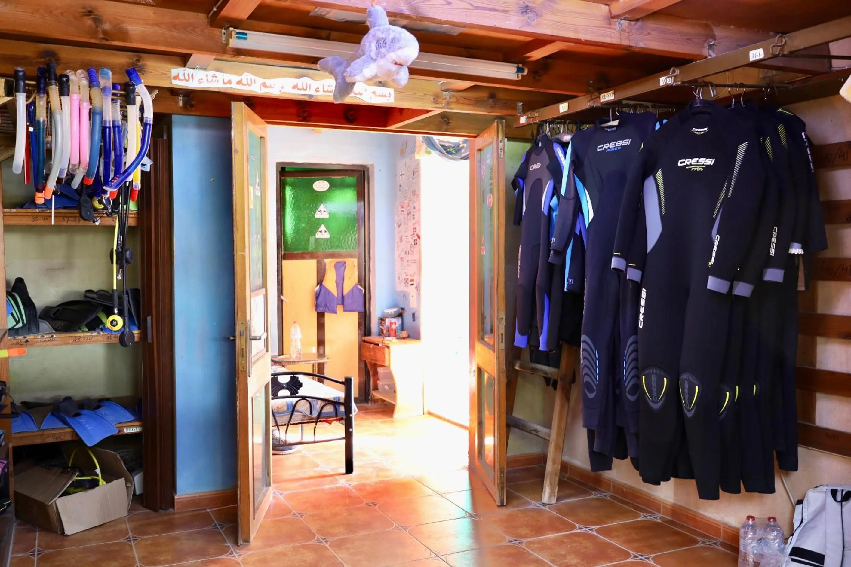 Diving in Bedouin Garden Village, hotel Dive