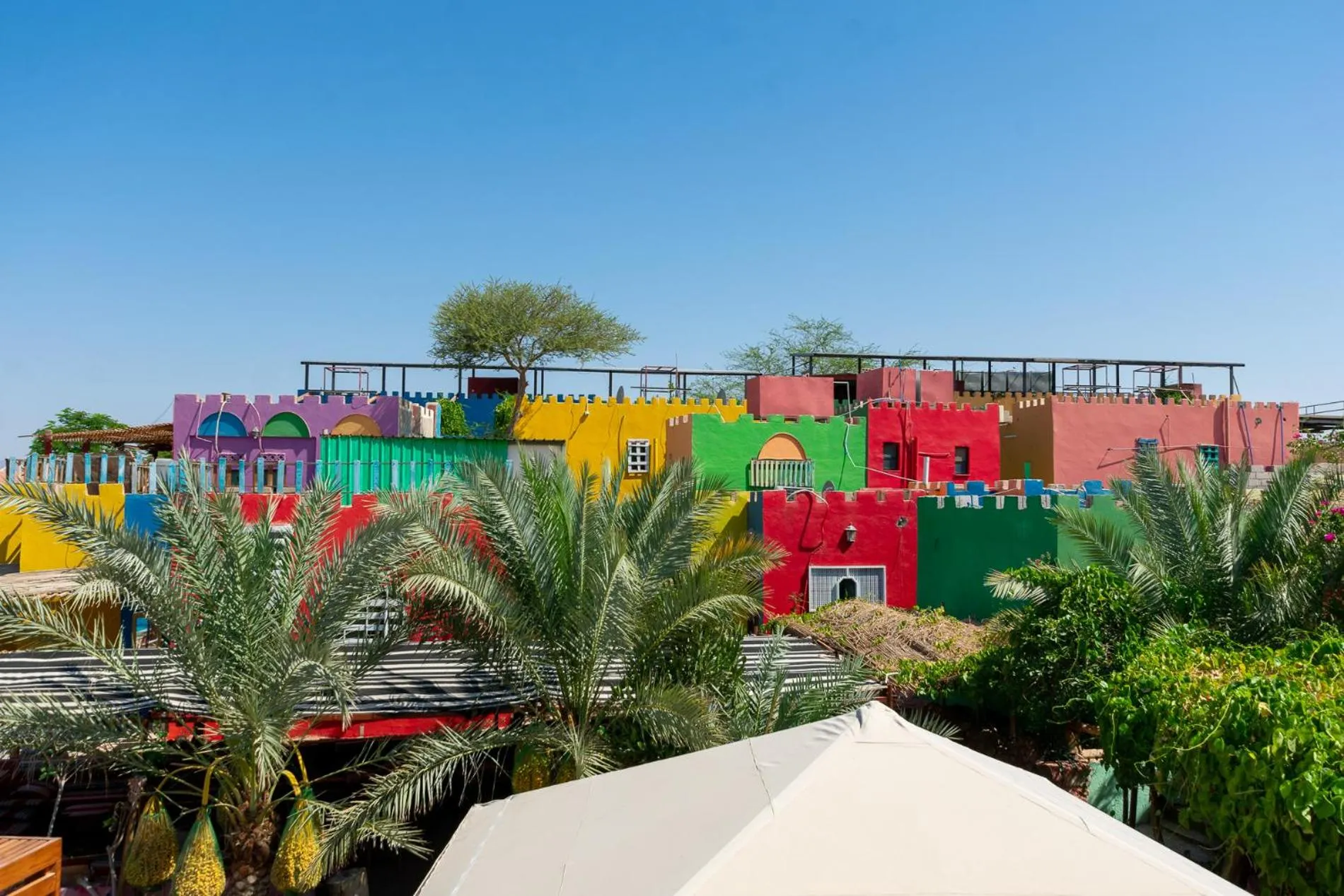 Photo of the whole room in Bedouin Garden Village, hotel Dive