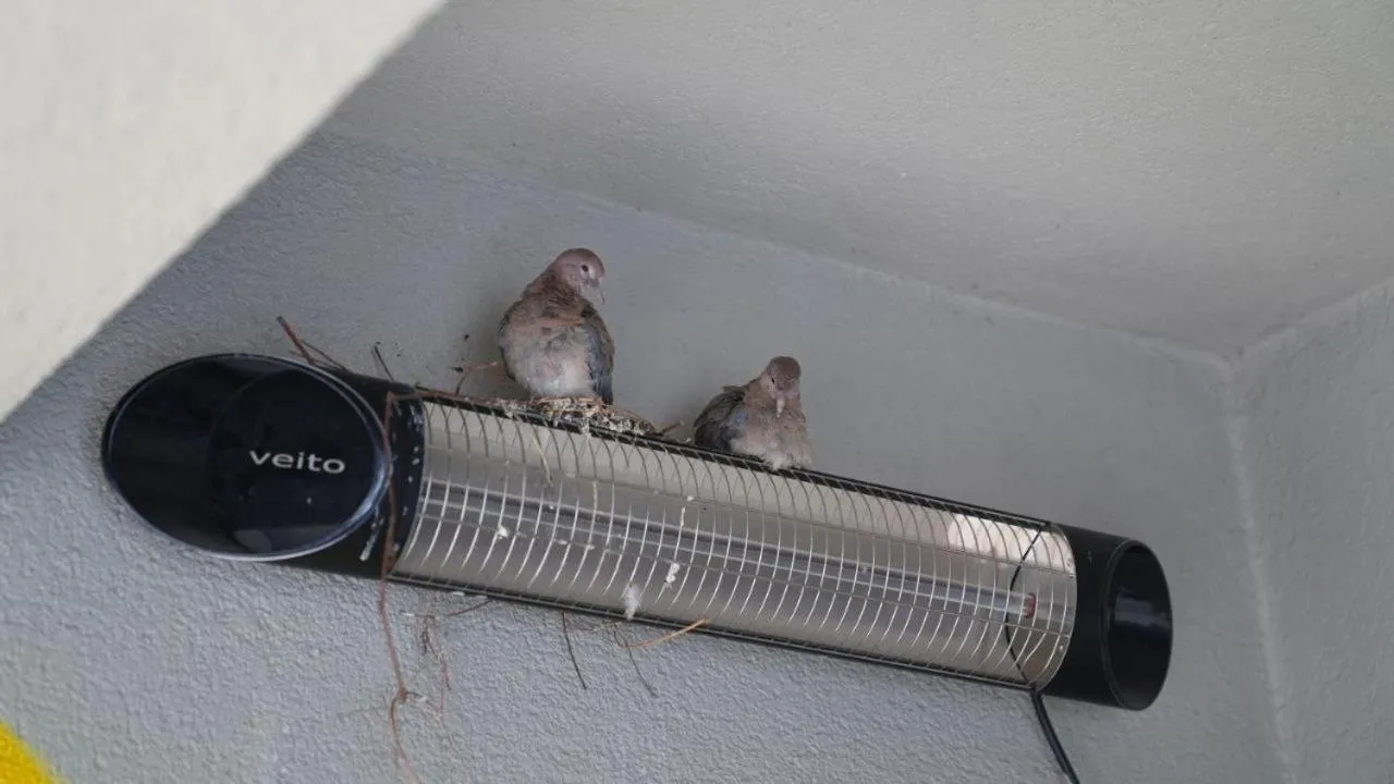 Restaurant/places to eat in Keten Suites Taksim