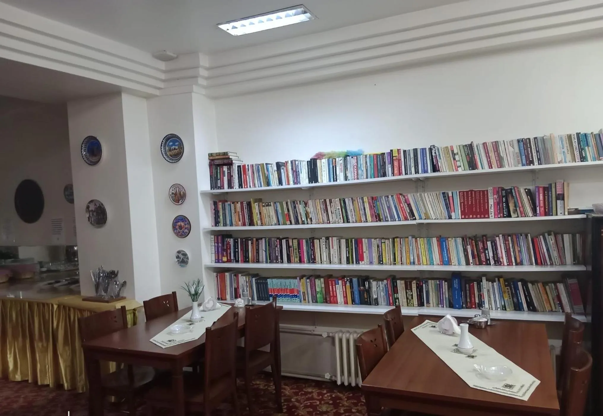 Library in Hotel Cesmeli